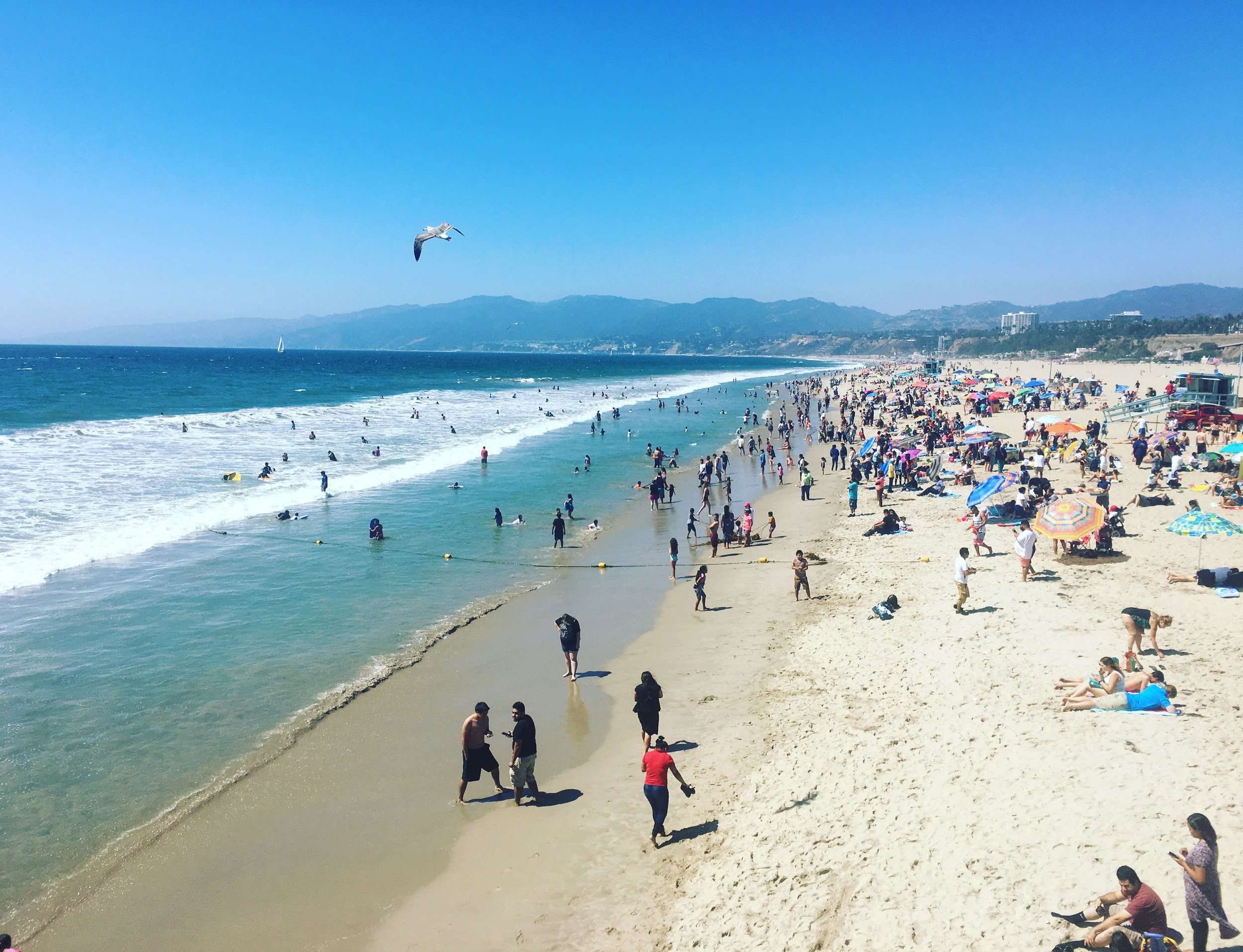 A Weekend In Santa Monica - Best Things To Do In Santa Monica CA