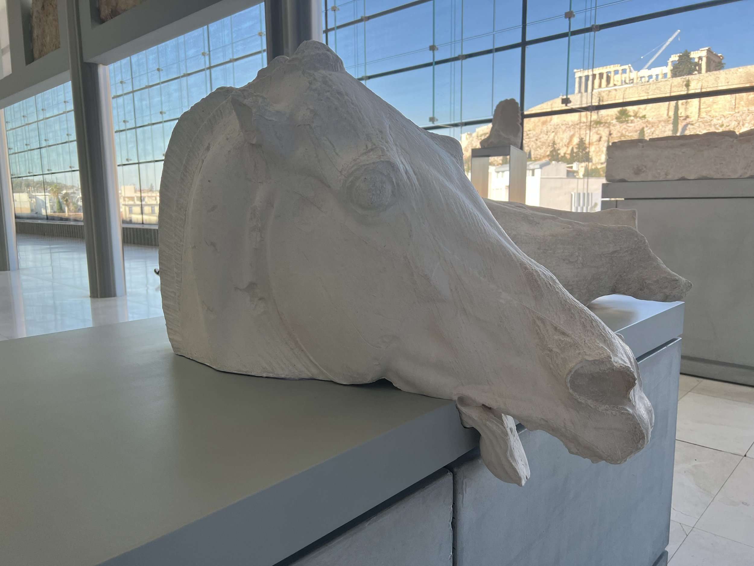 Horse head