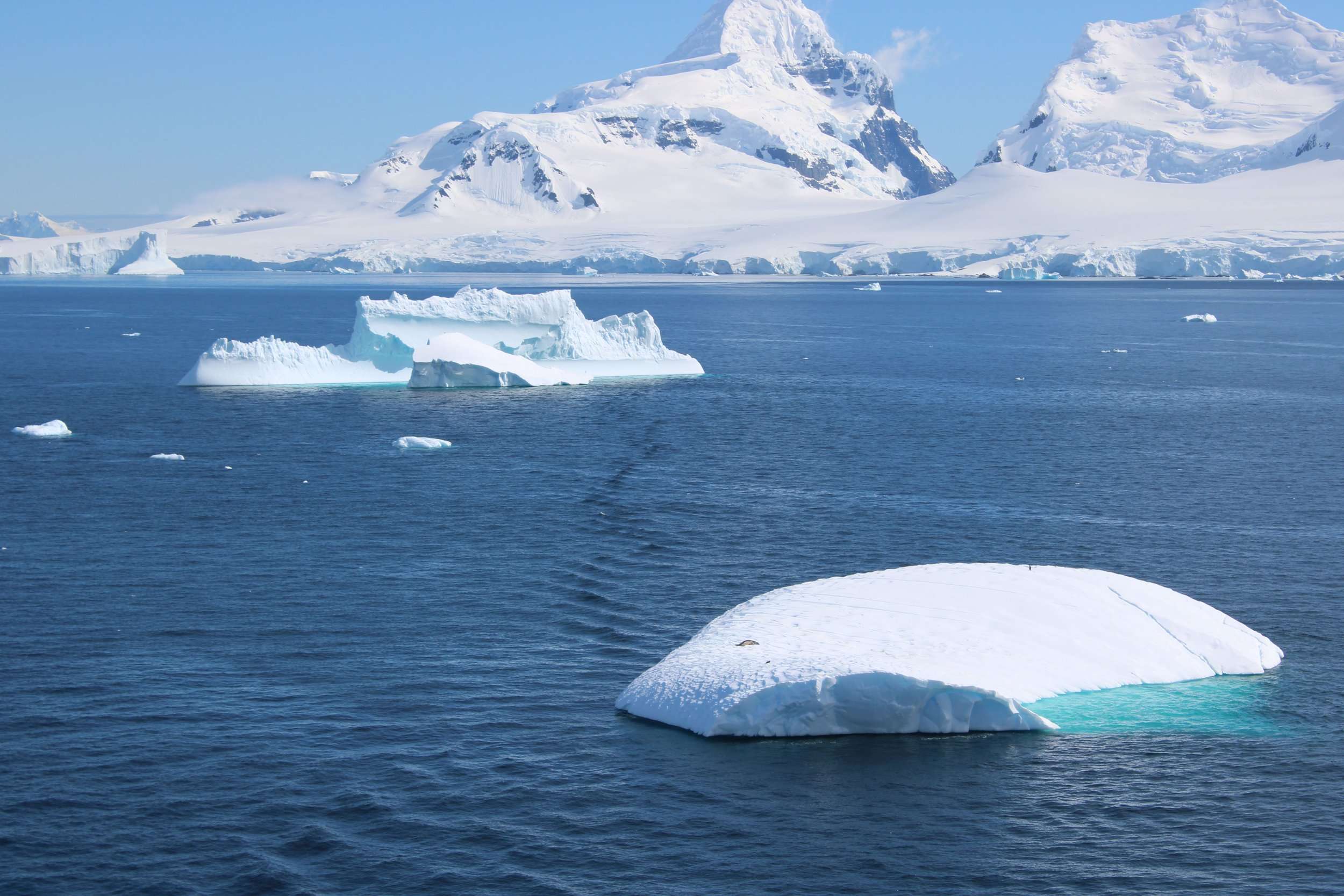 Antarctica Photography Techniques