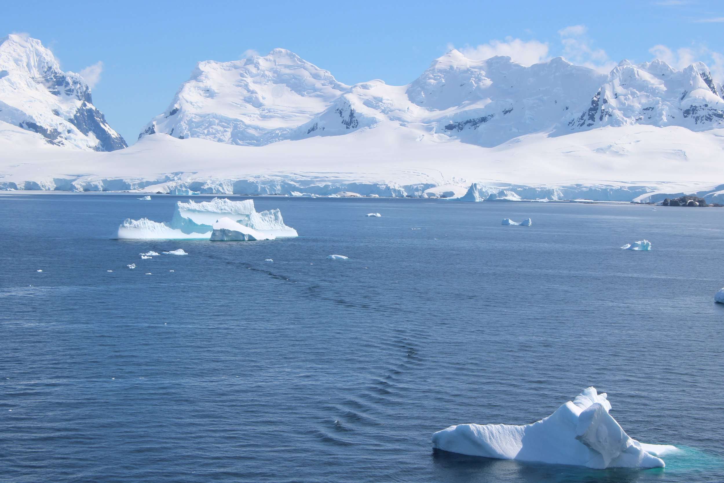 Antarctica Photography Workshop