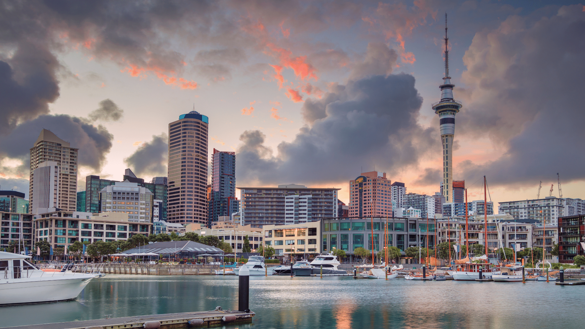 Fun Things to Do in Auckland: Accessible NZ