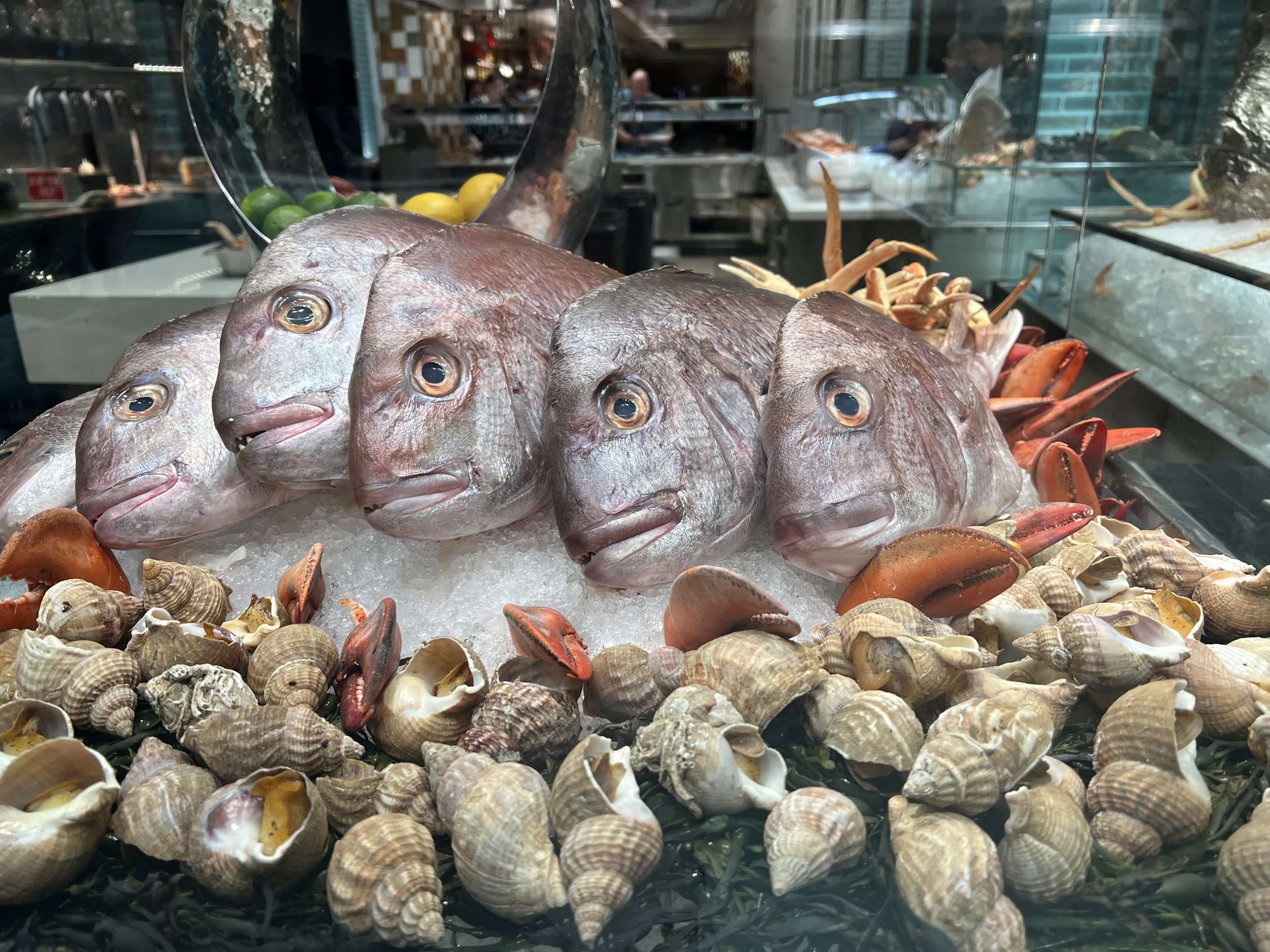 Best Buffet Vegas Seafood Dinner Buffets