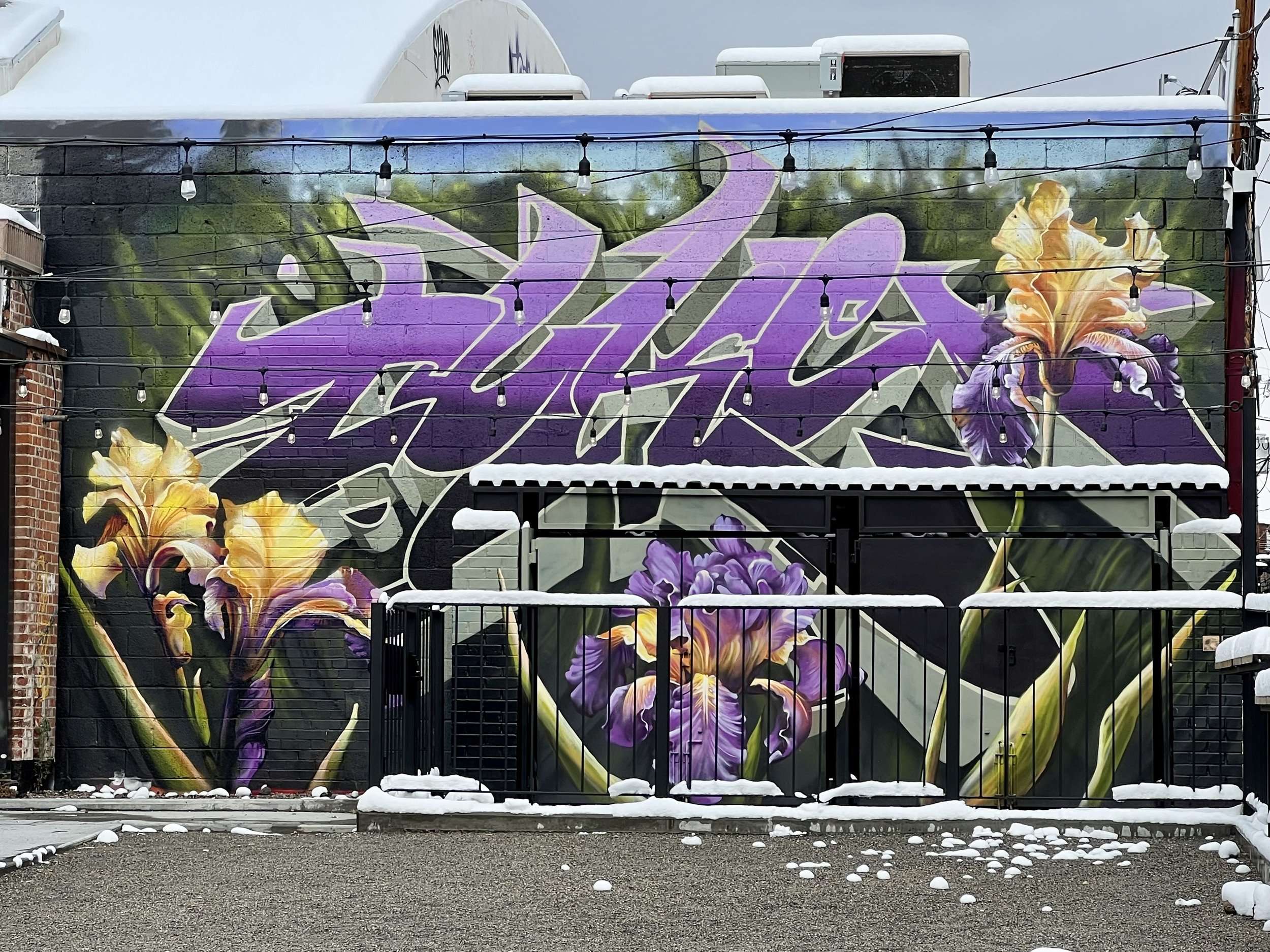 Best Murals In Denver Colorado