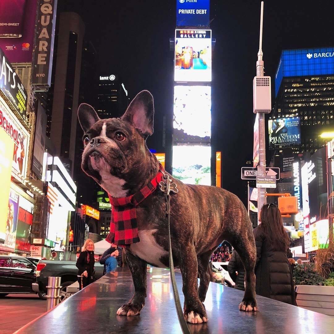 Best Places To Take Pictures In NYC At Night Times Square