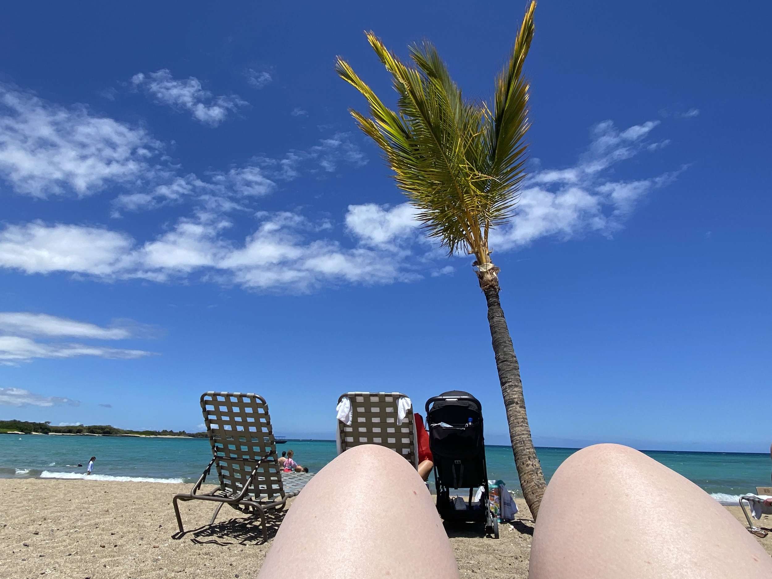 Best Snorkeling Big Island Hilo