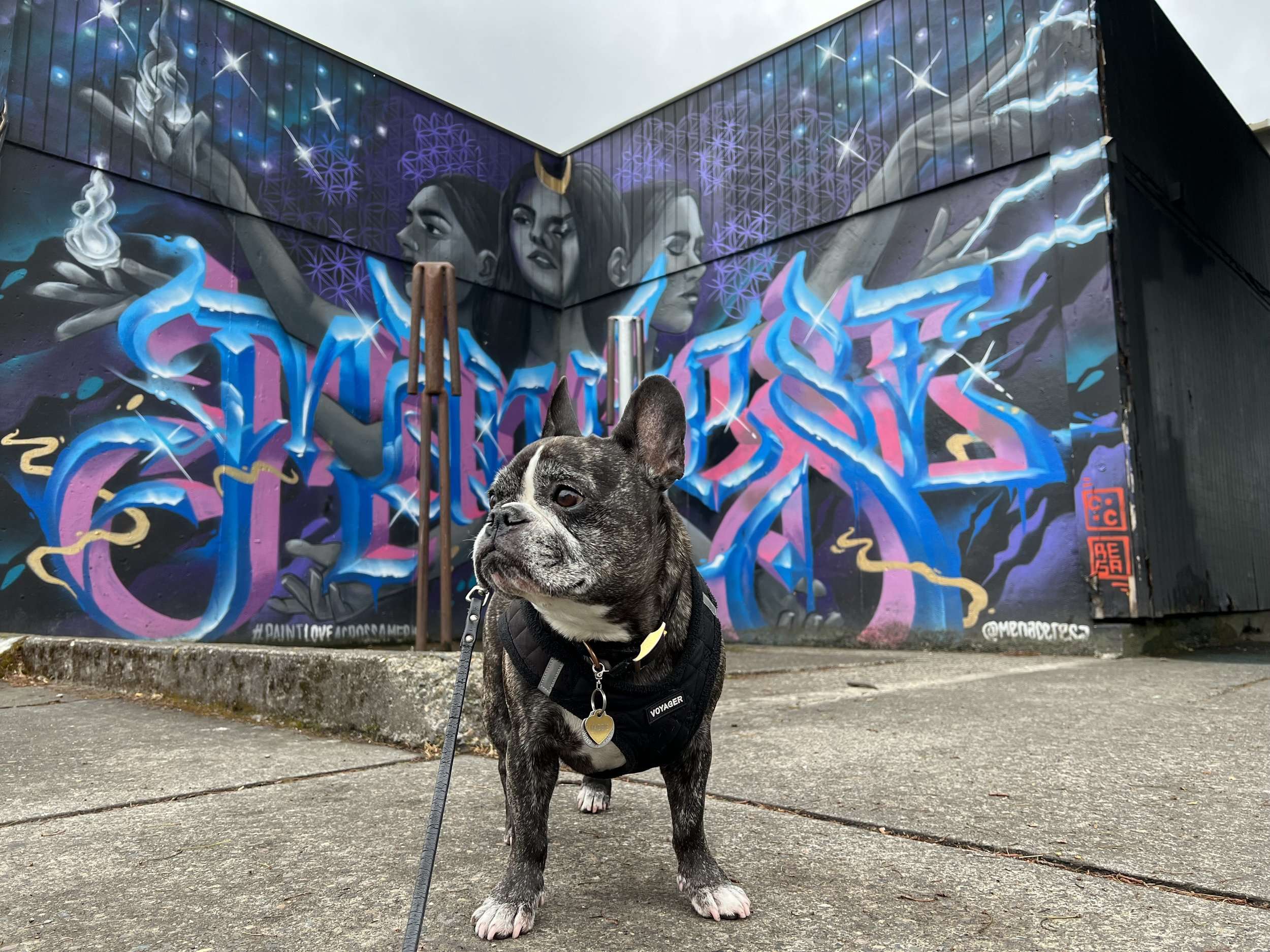 Best Street Art Portland