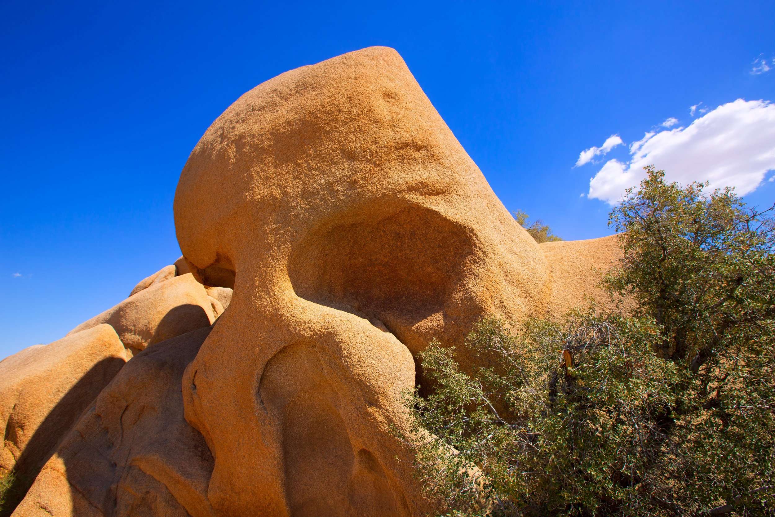 Best Things To Do In Joshua Tree Cool Things To Do In Joshua Tree