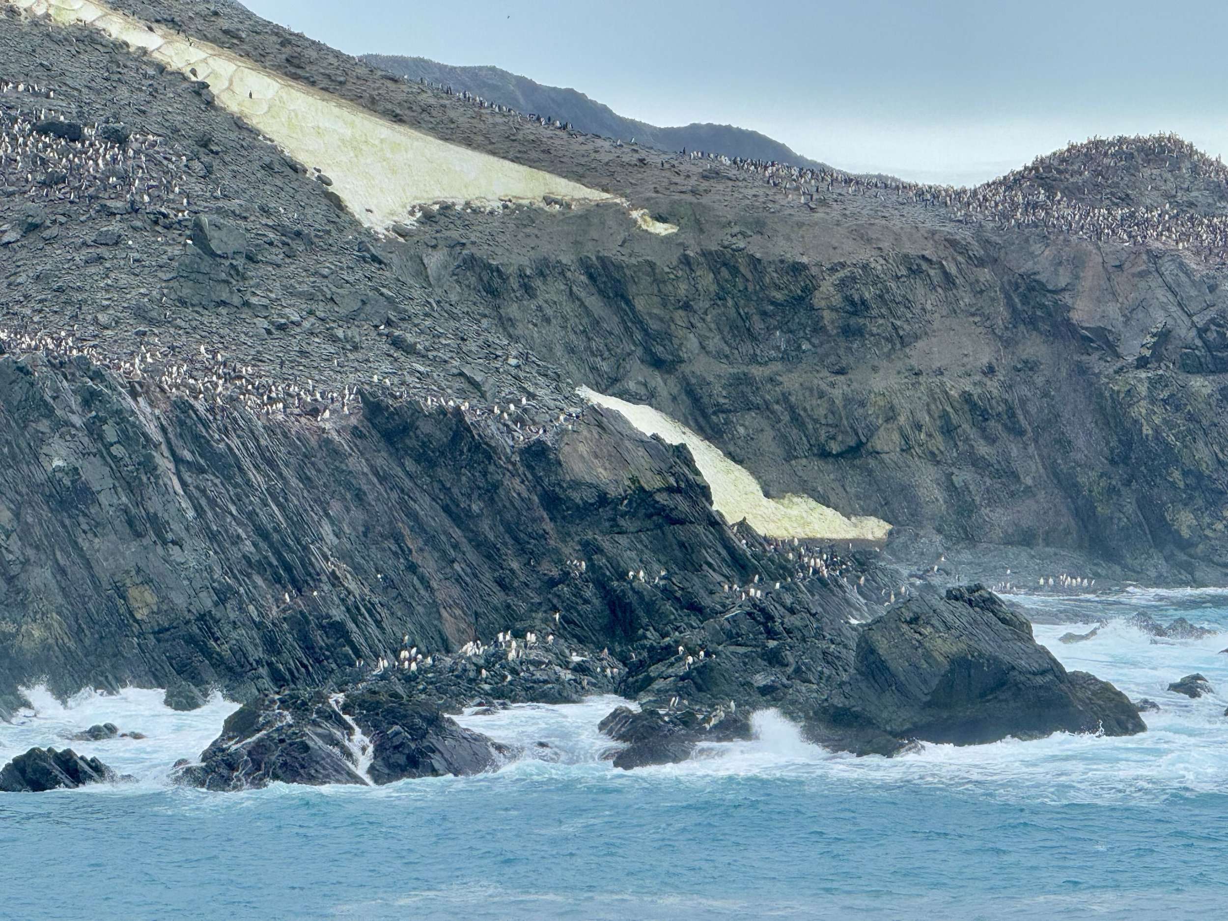 Chinstrap Penguins on Elephant Island
