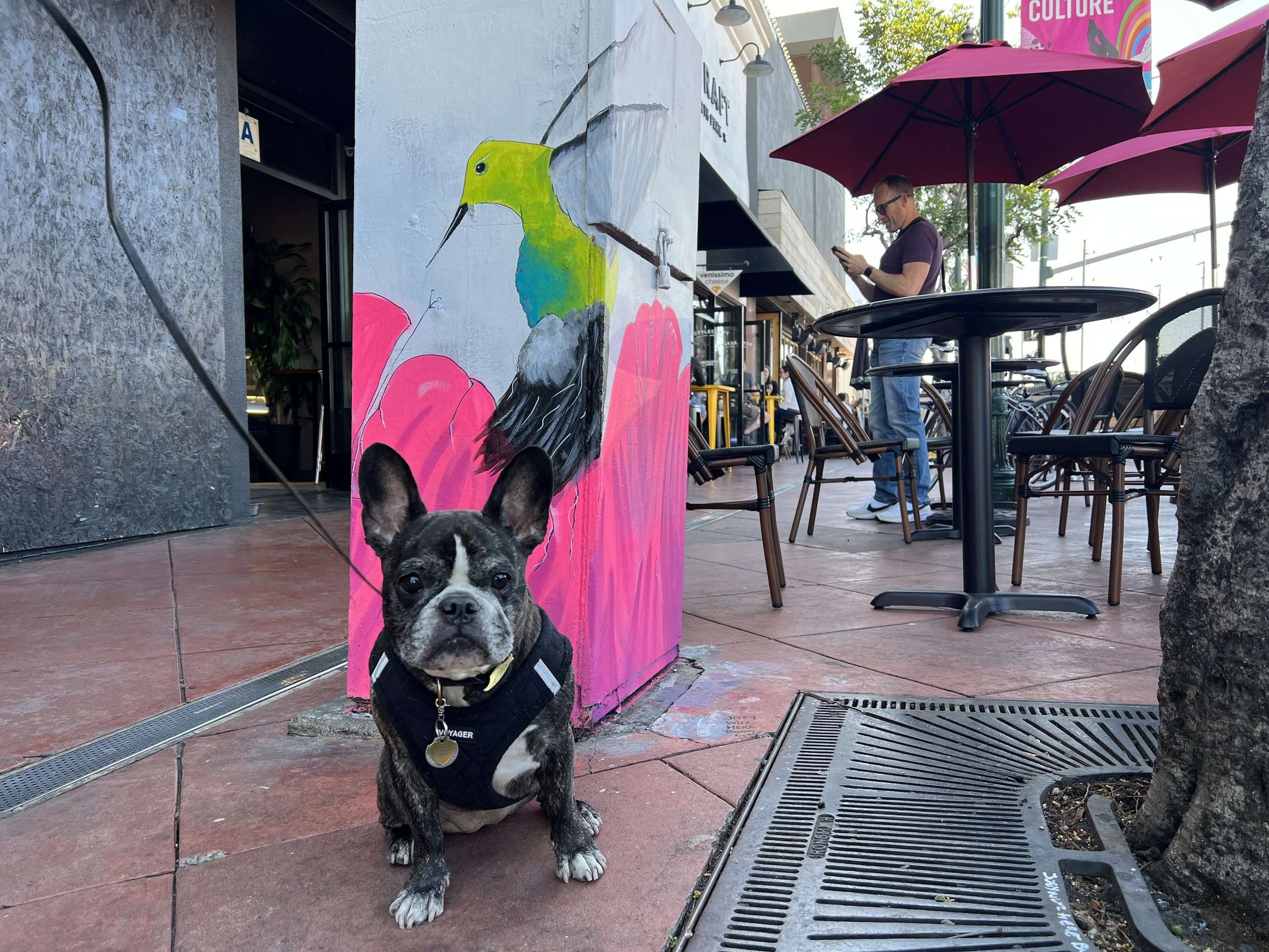Different Murals San Diego