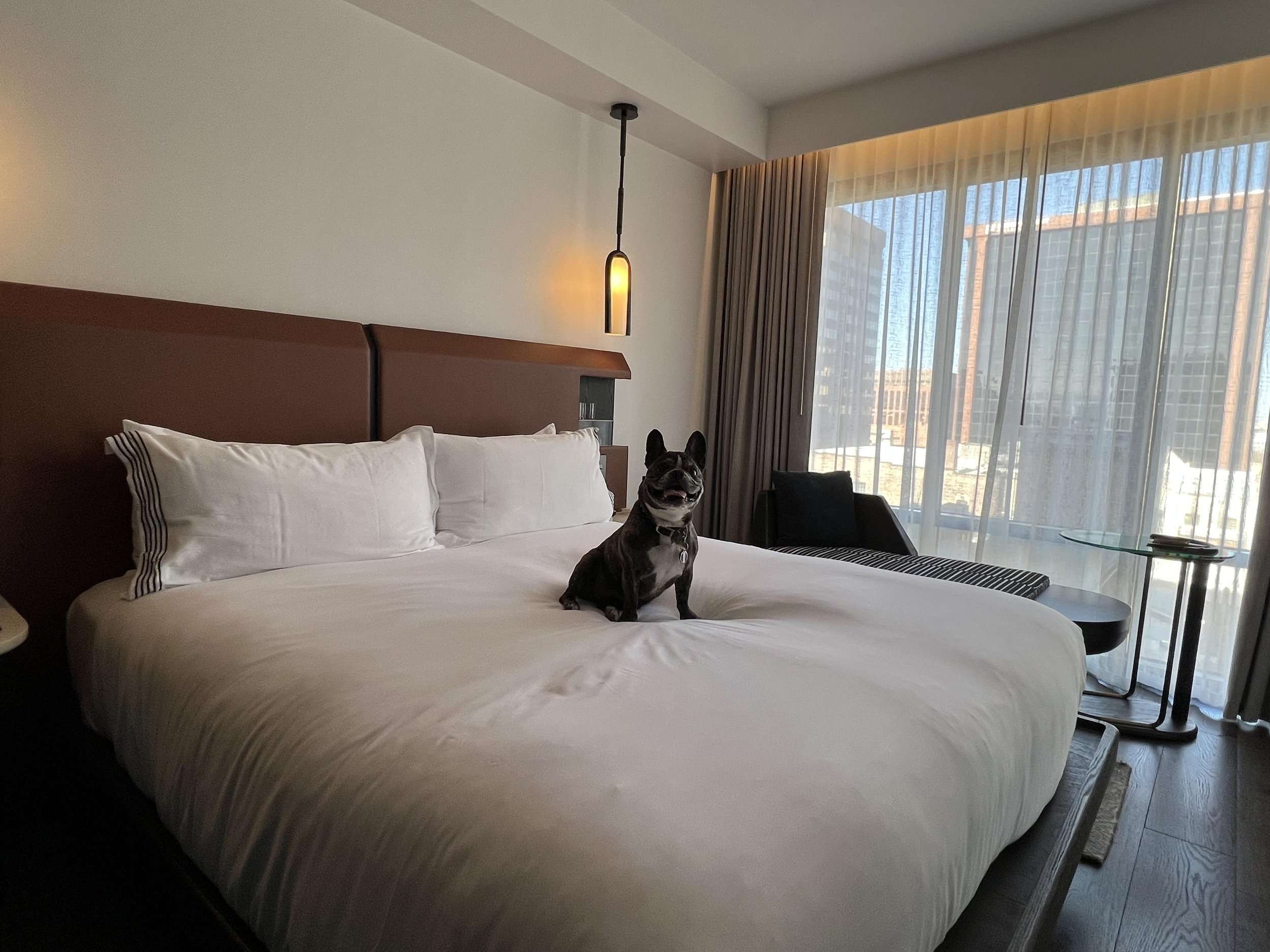 Fun Things To Do In Denver Colorado For Adults