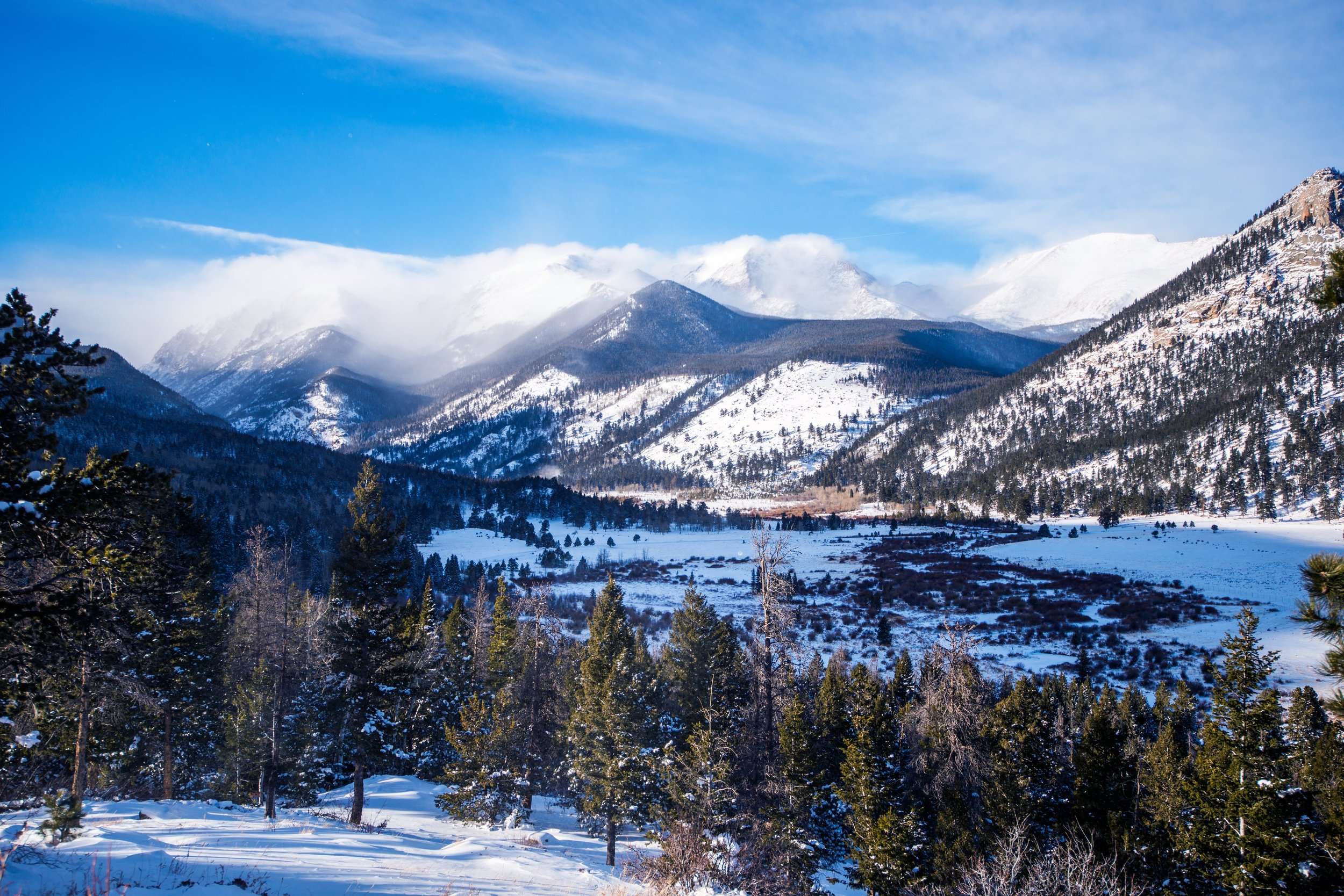 Fun Unique Things To Do In Denver