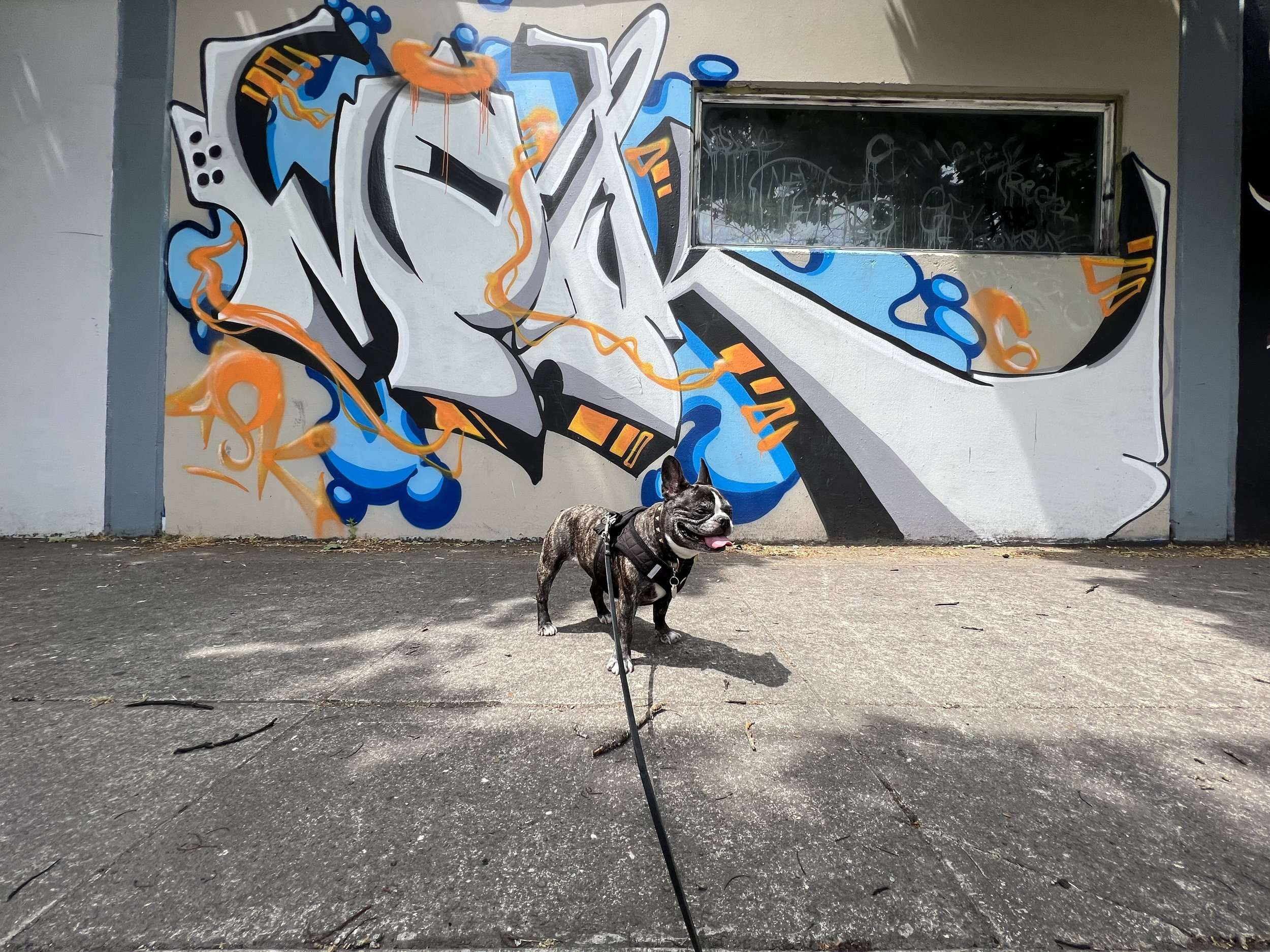 Graffiti Wall Murals
