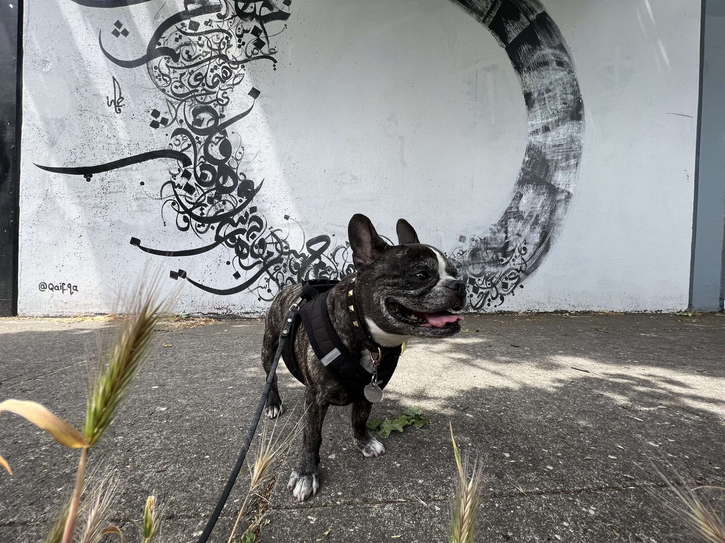 Graffiti Wallpaper Mural Customer Service