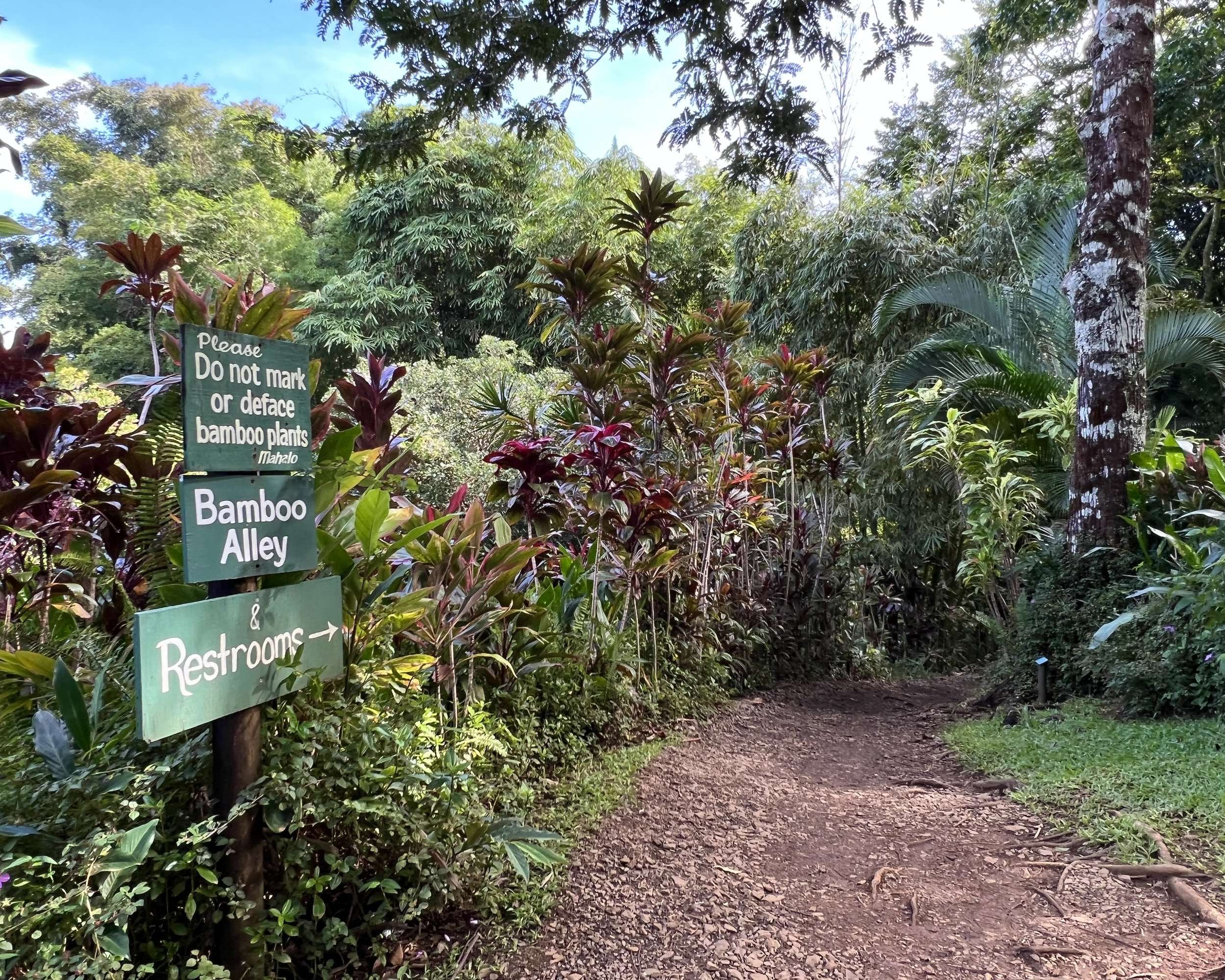 Just off the Road to Hana Garden Landscapes Await