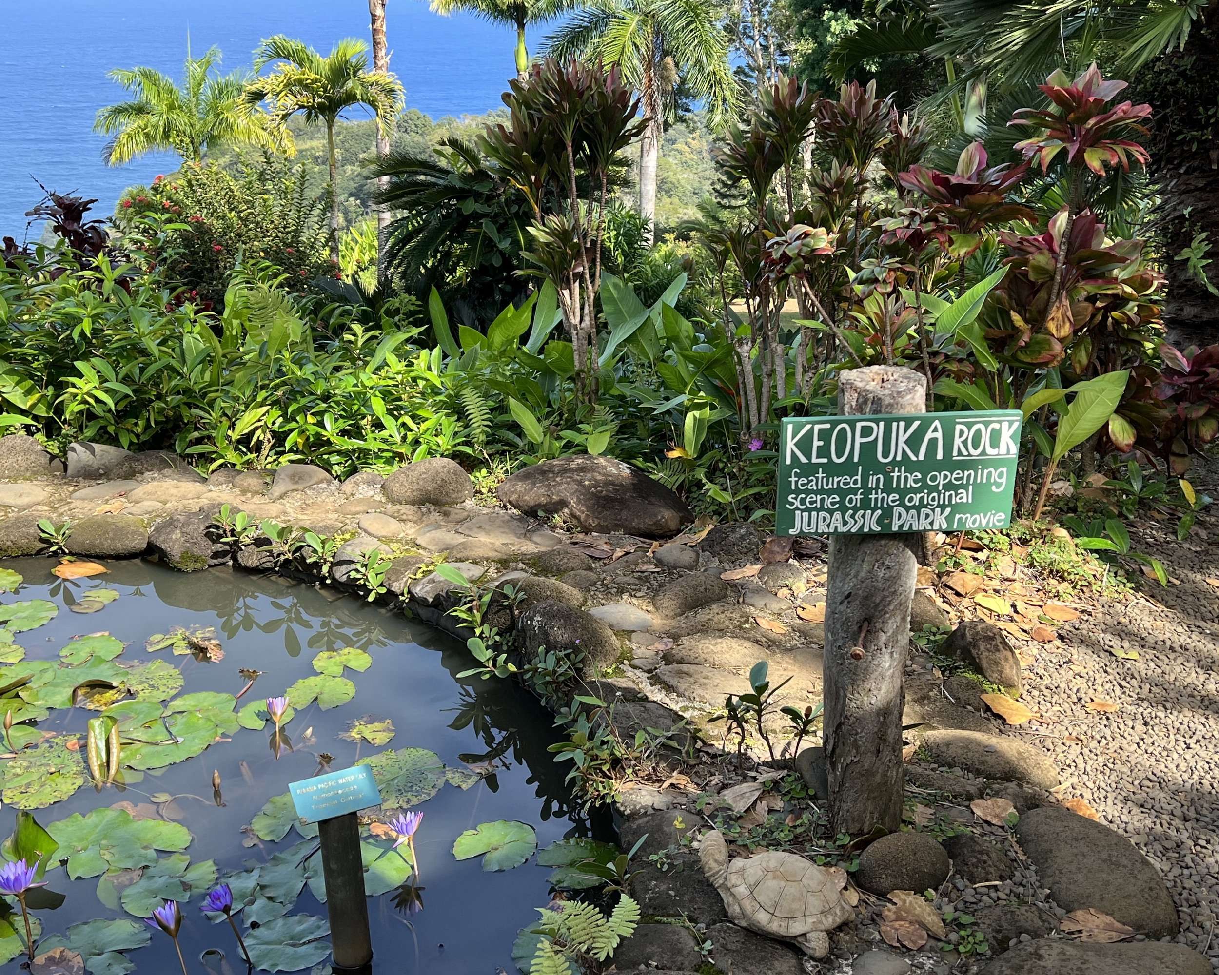 Keopuka Rock Jurassic Park Filming Location