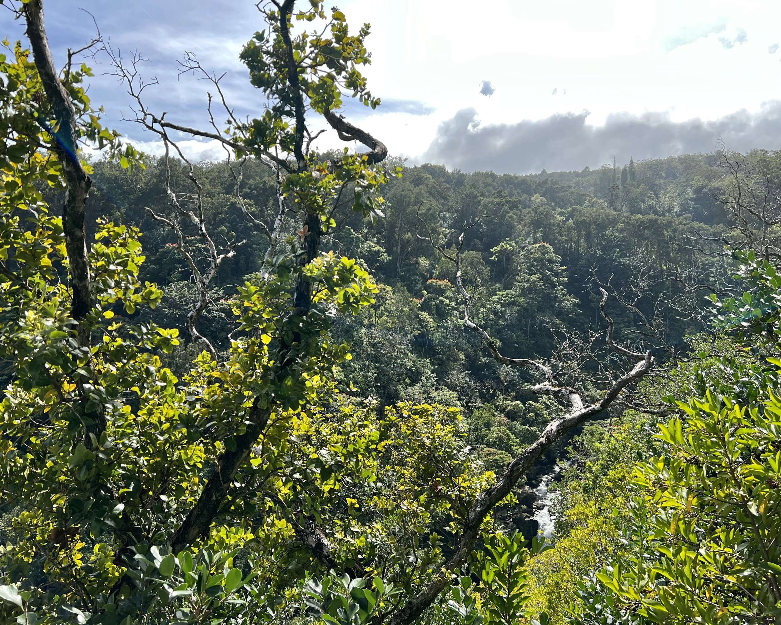 Spectacular View from the Observation Area