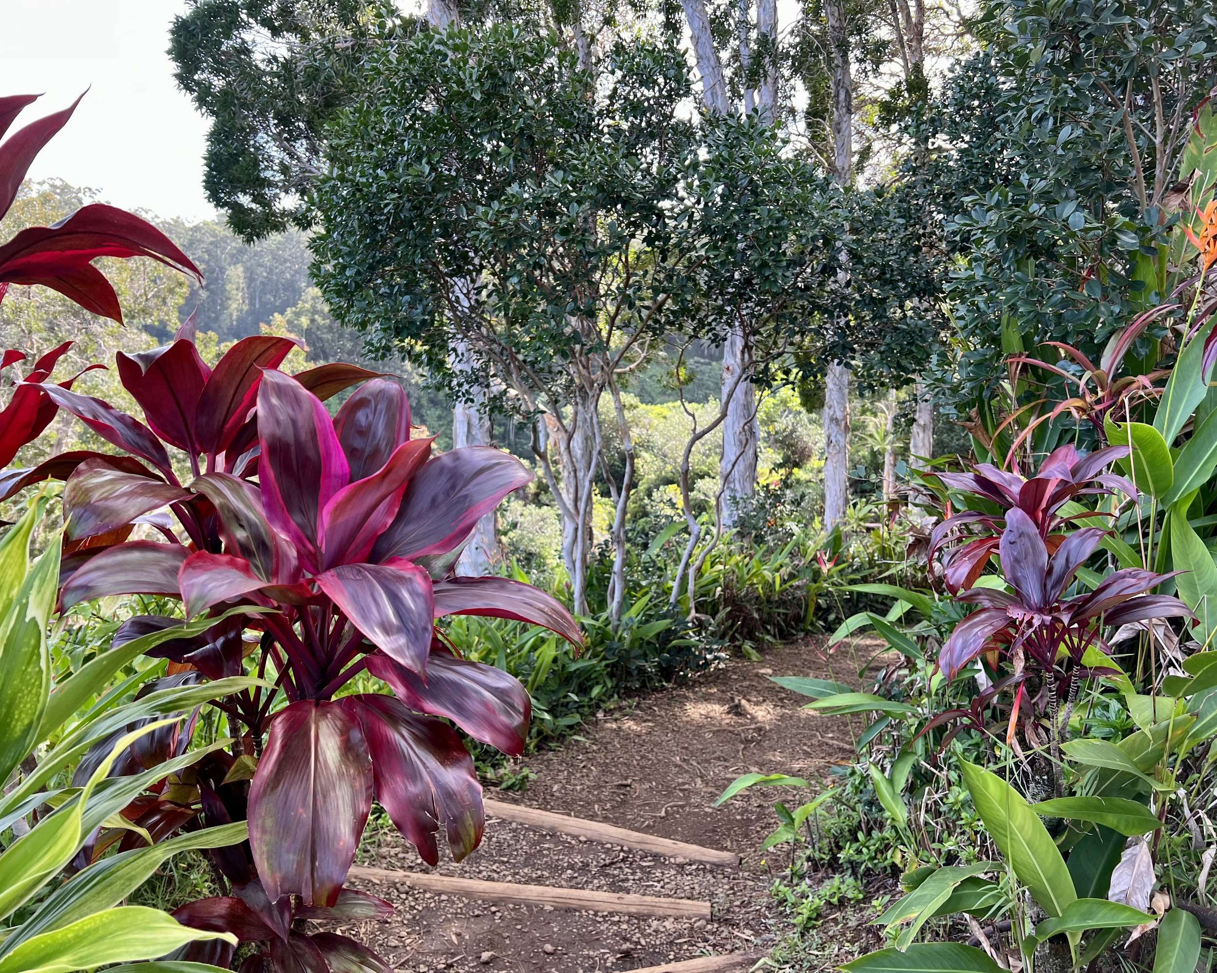 Garden of Eden Walkways