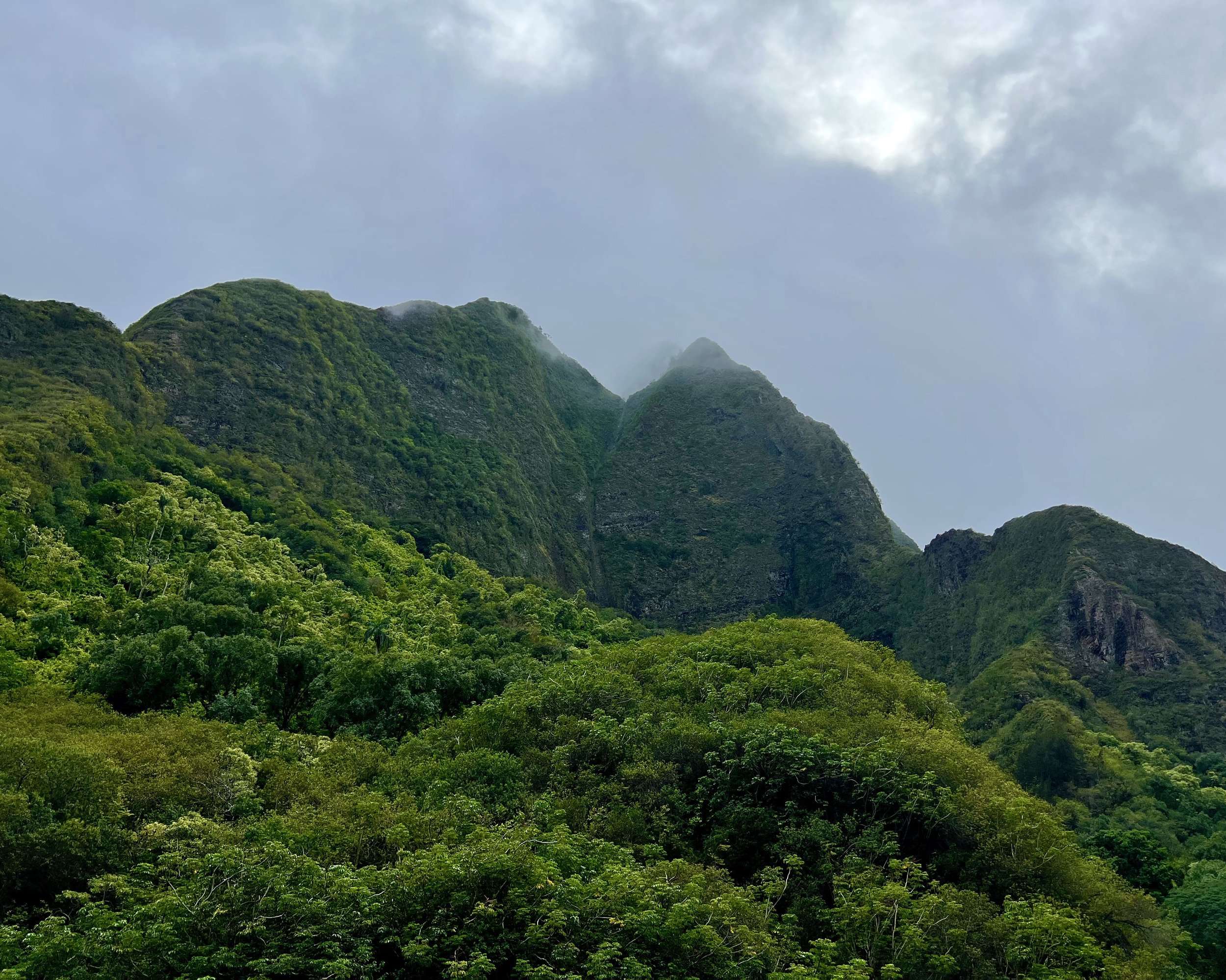 Views from the Iao Valley State Park Hikes