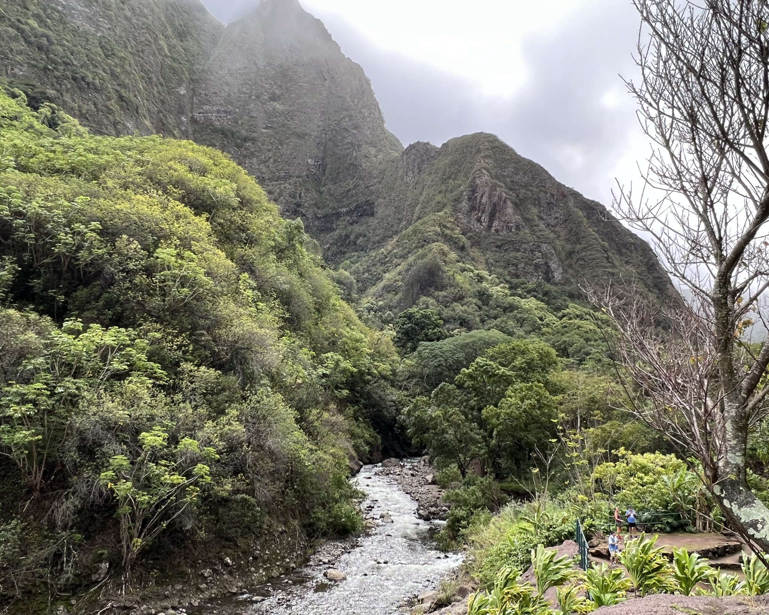Stream through Iao Valley Monument