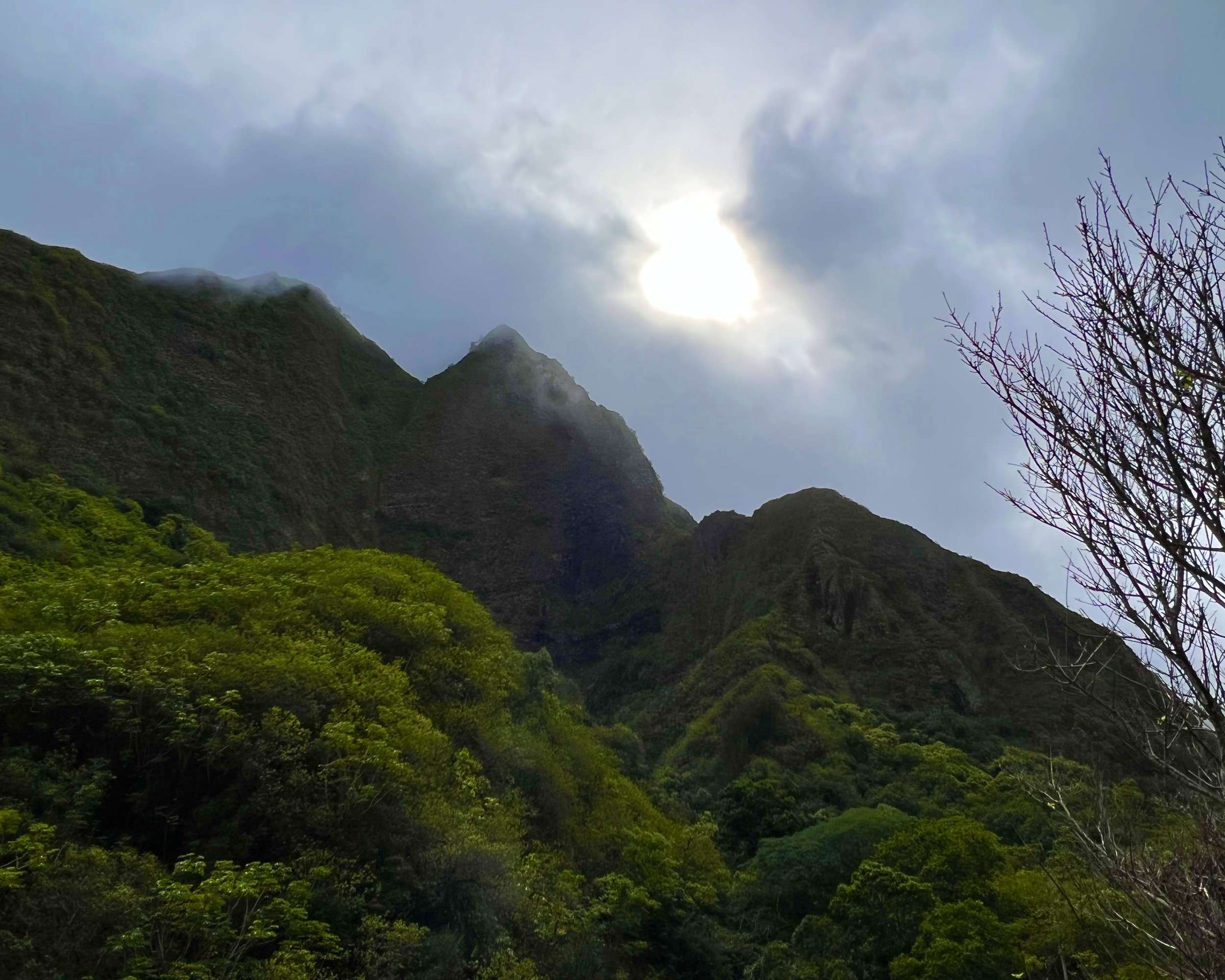 View From Our Iao Valley Maui Hike on the Paved Trail