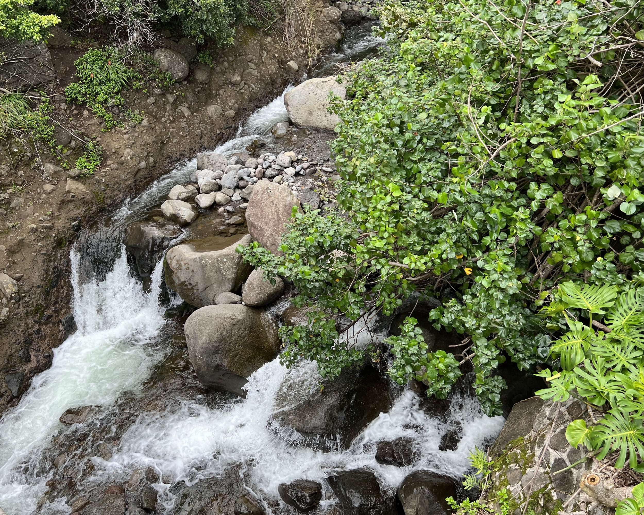 Rushing Waters in Iao Valley