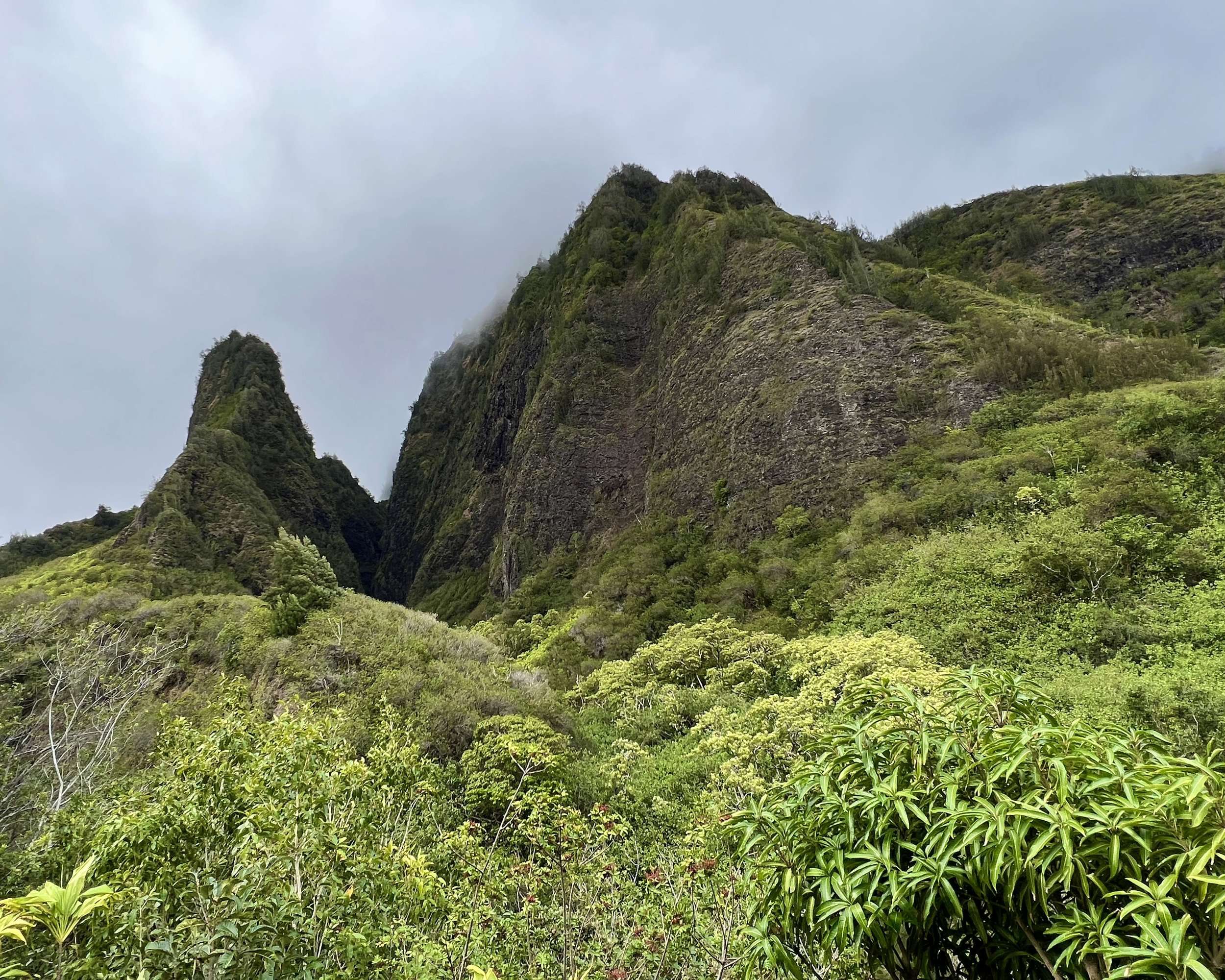 Iao Valley Needle Views