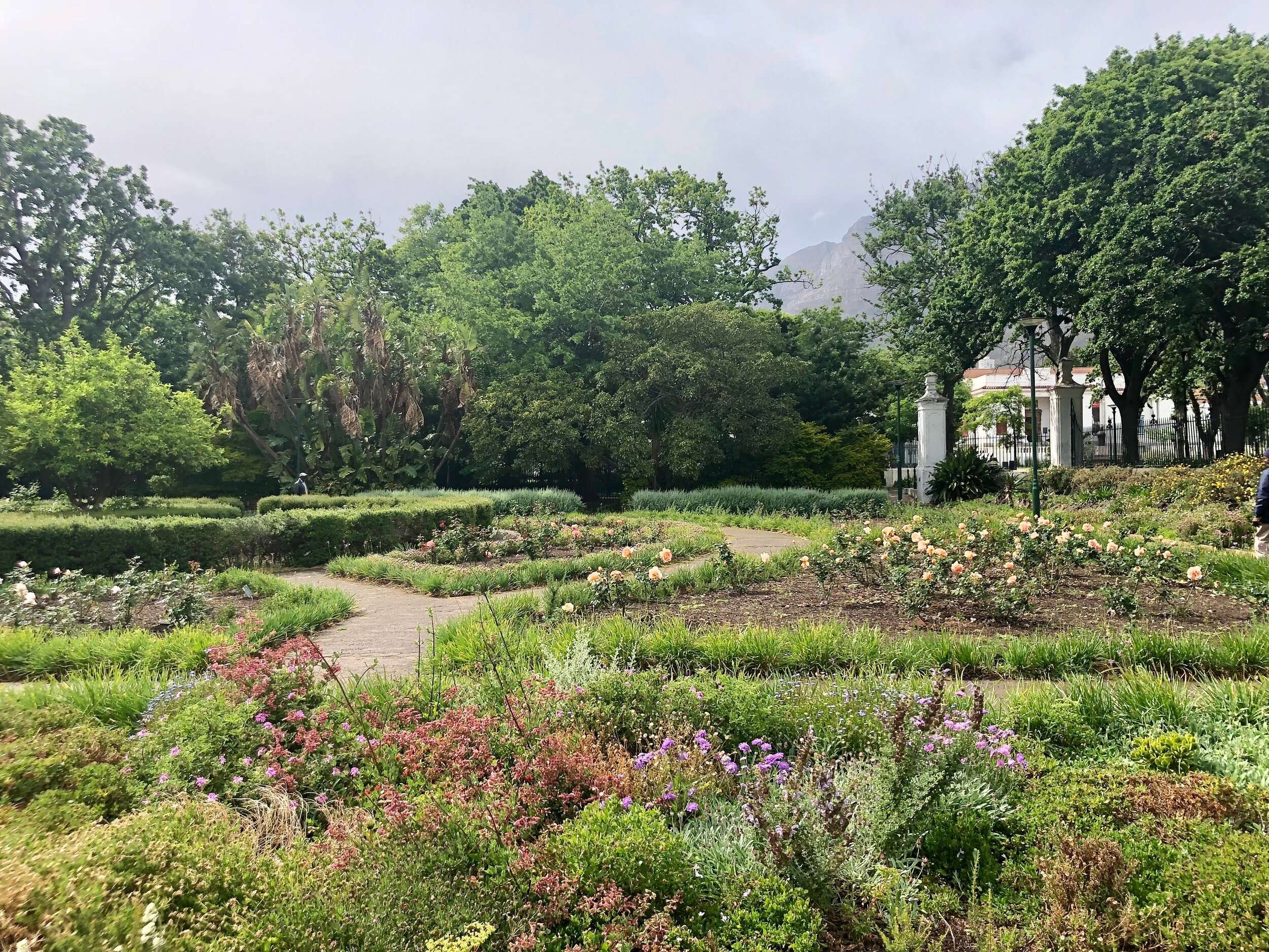 The Company's Garden