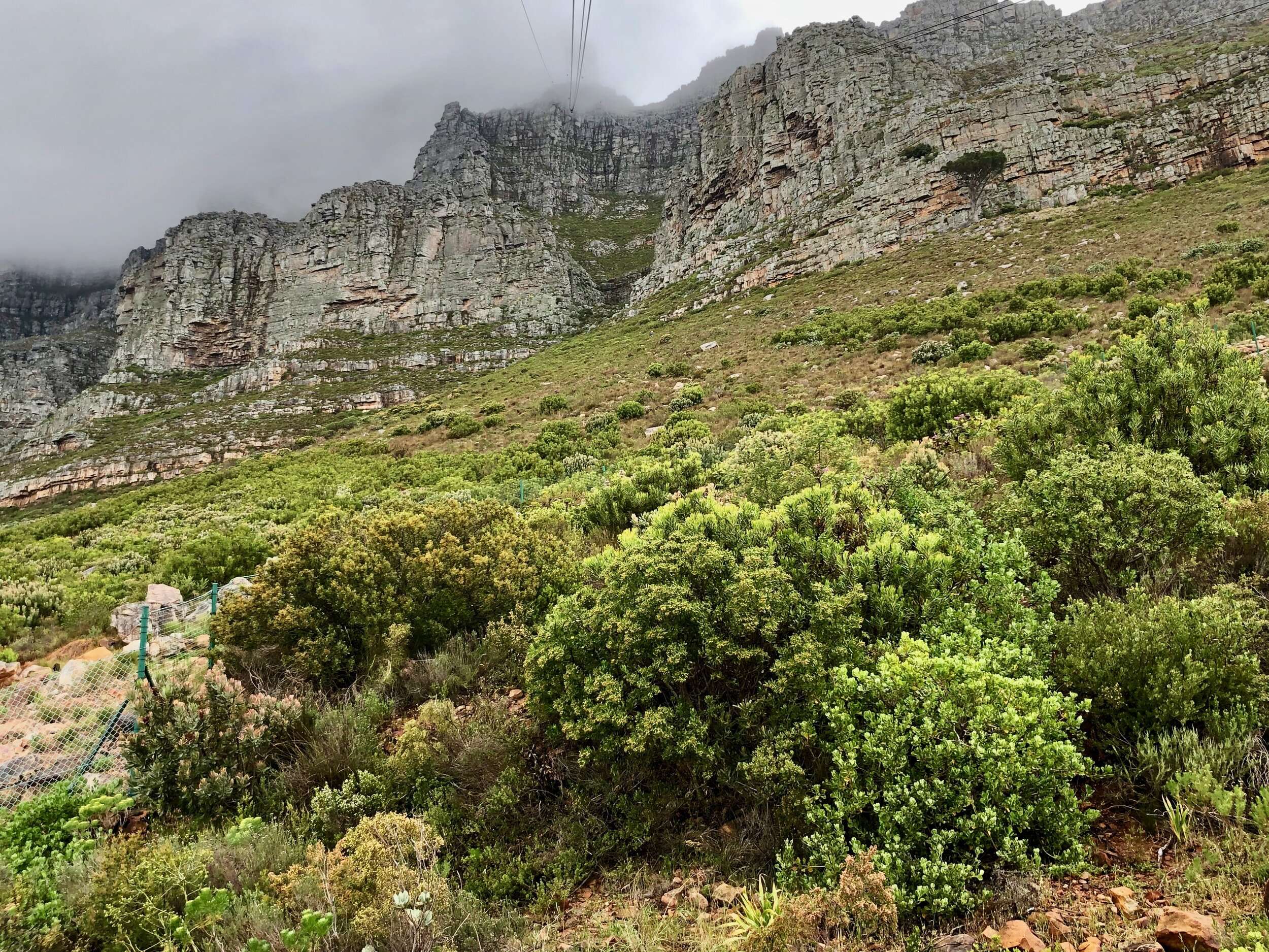 Base of Table Mountain