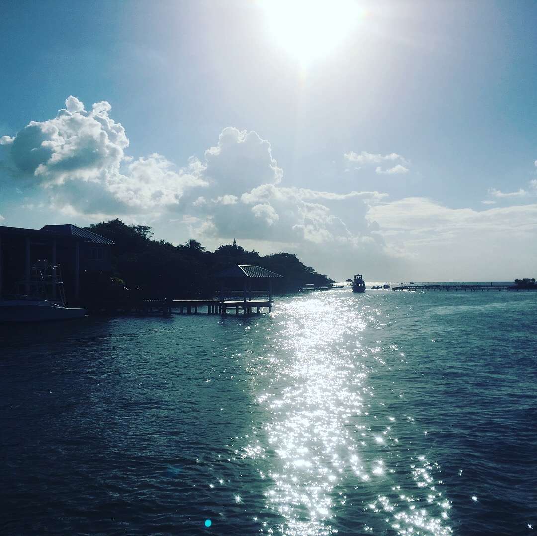 The best snorkeling in Roatan