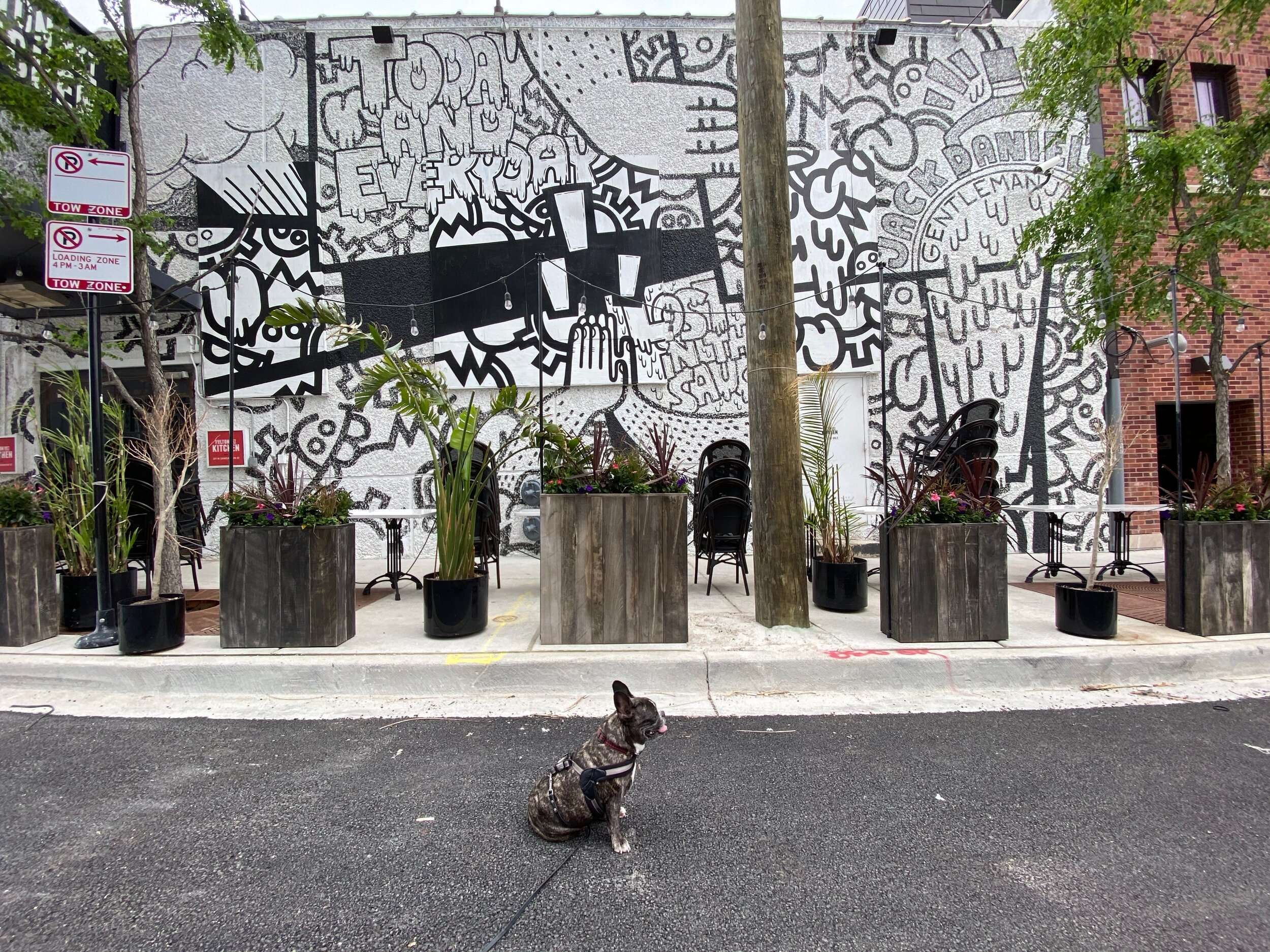 Mural by Lauren Asta
