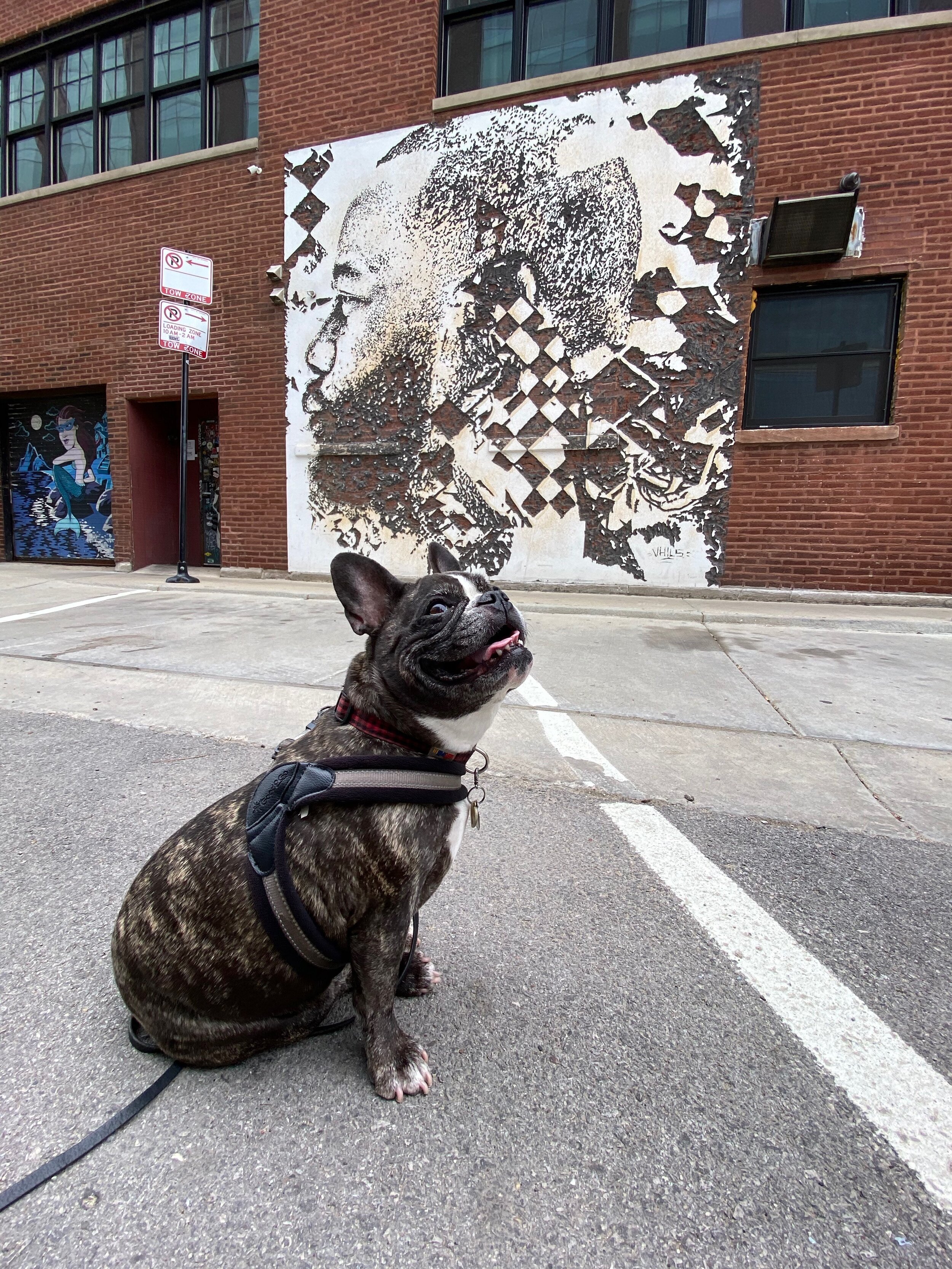 Art by Portuguese Graffiti and Street Artist Alexandre Manuel Dias Farto aka @Vhils