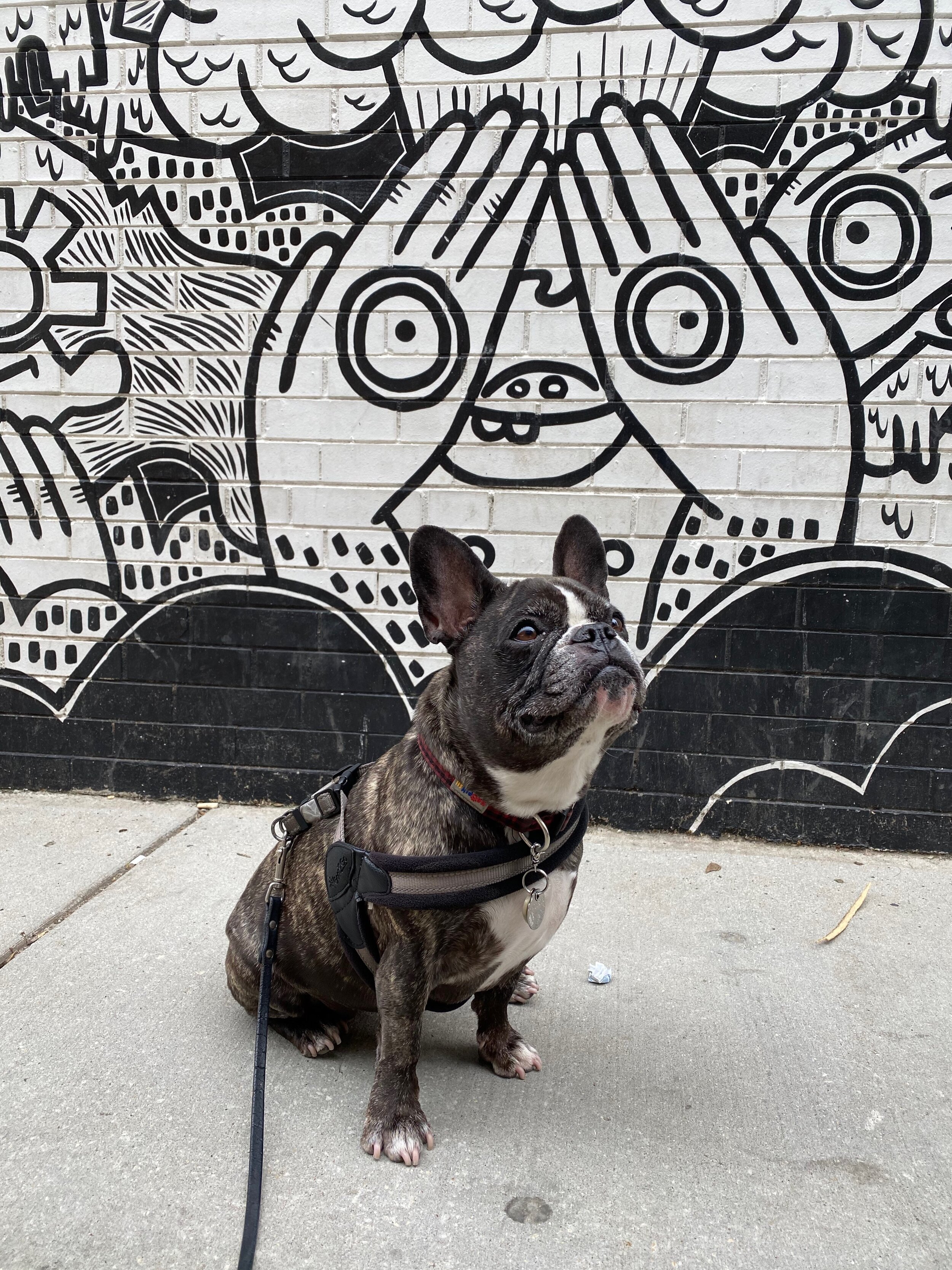 Close up of Chicago Mural Artist Lauren Asta's Black and White Wall