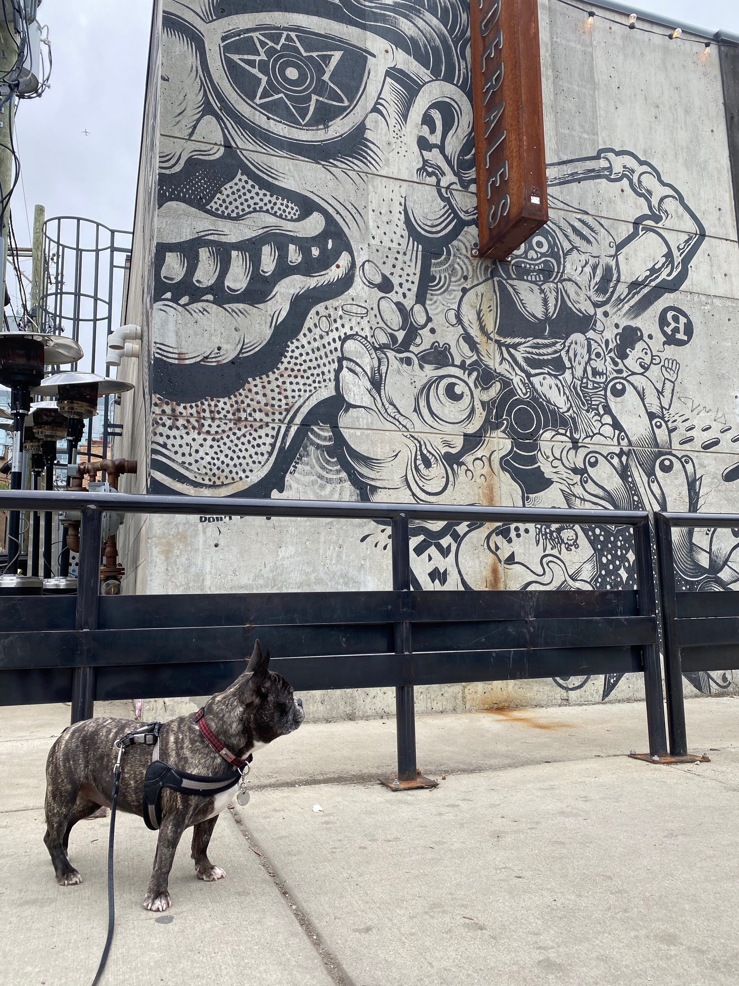 Art outside Federales Restaurant, Chicago by Jason Botkin