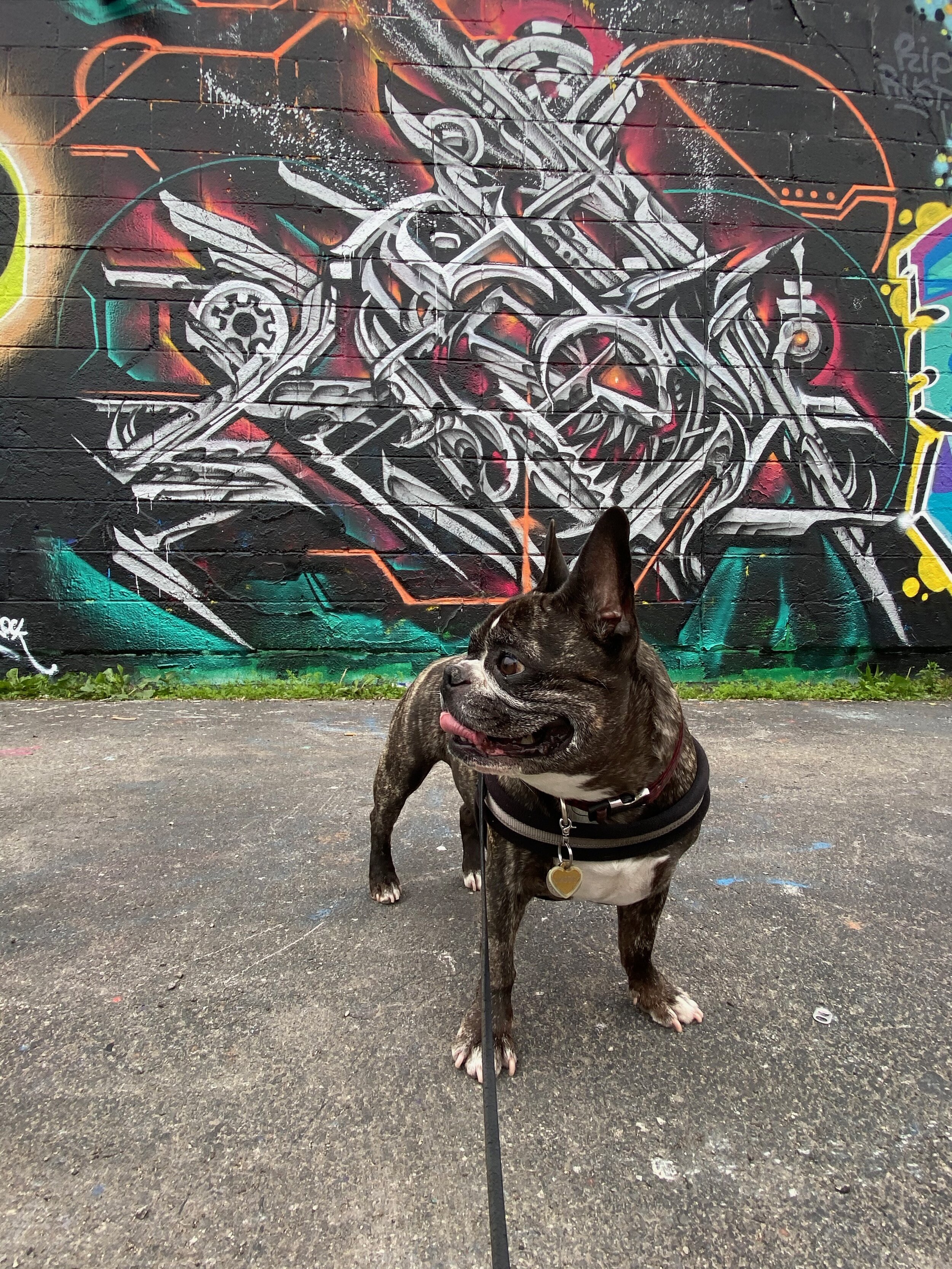Chicago Graffiti by Unknown
