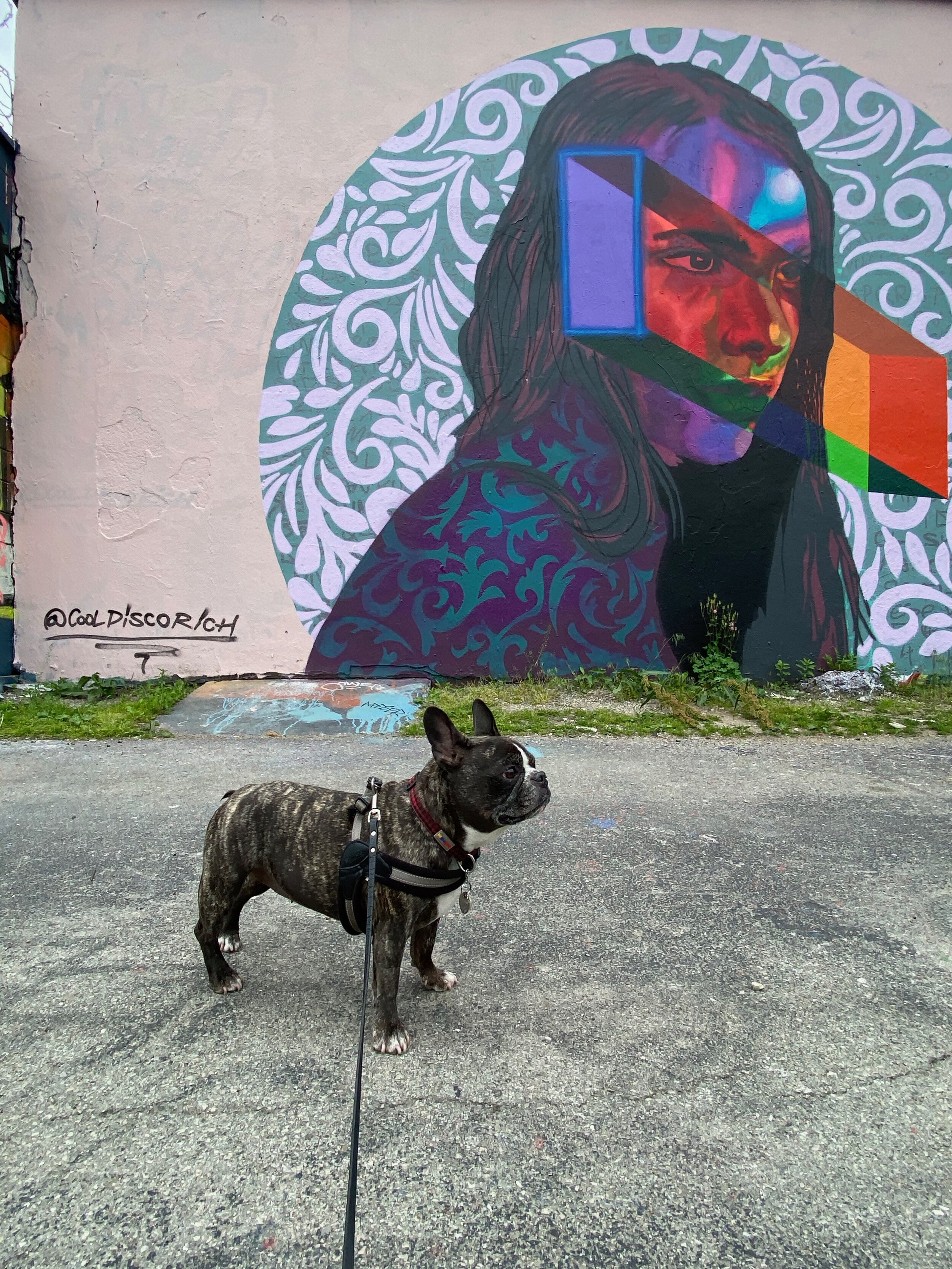 Chicago Mural by @Cooldiscorich