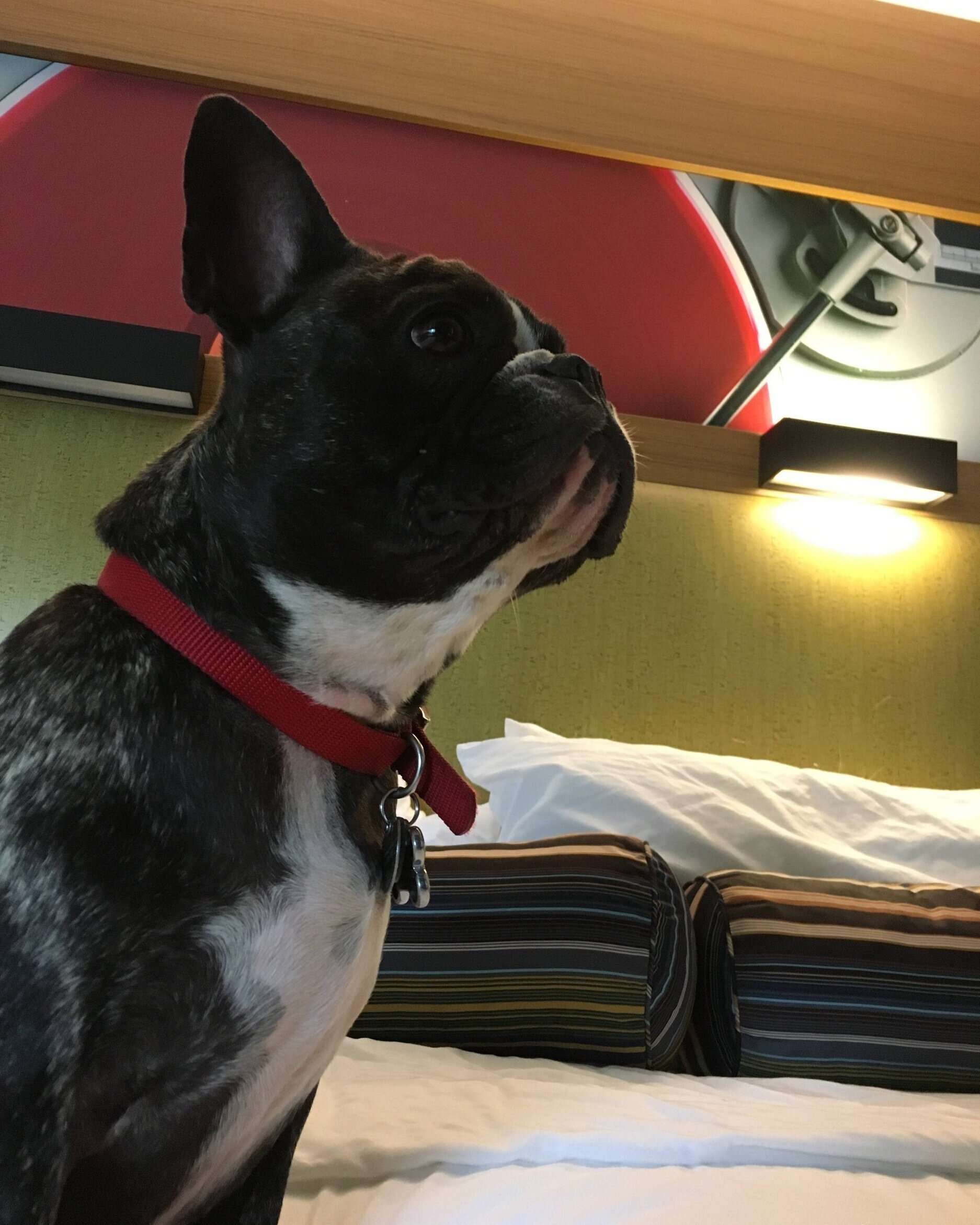 Maddie at the Aloft Hotel Green Bay