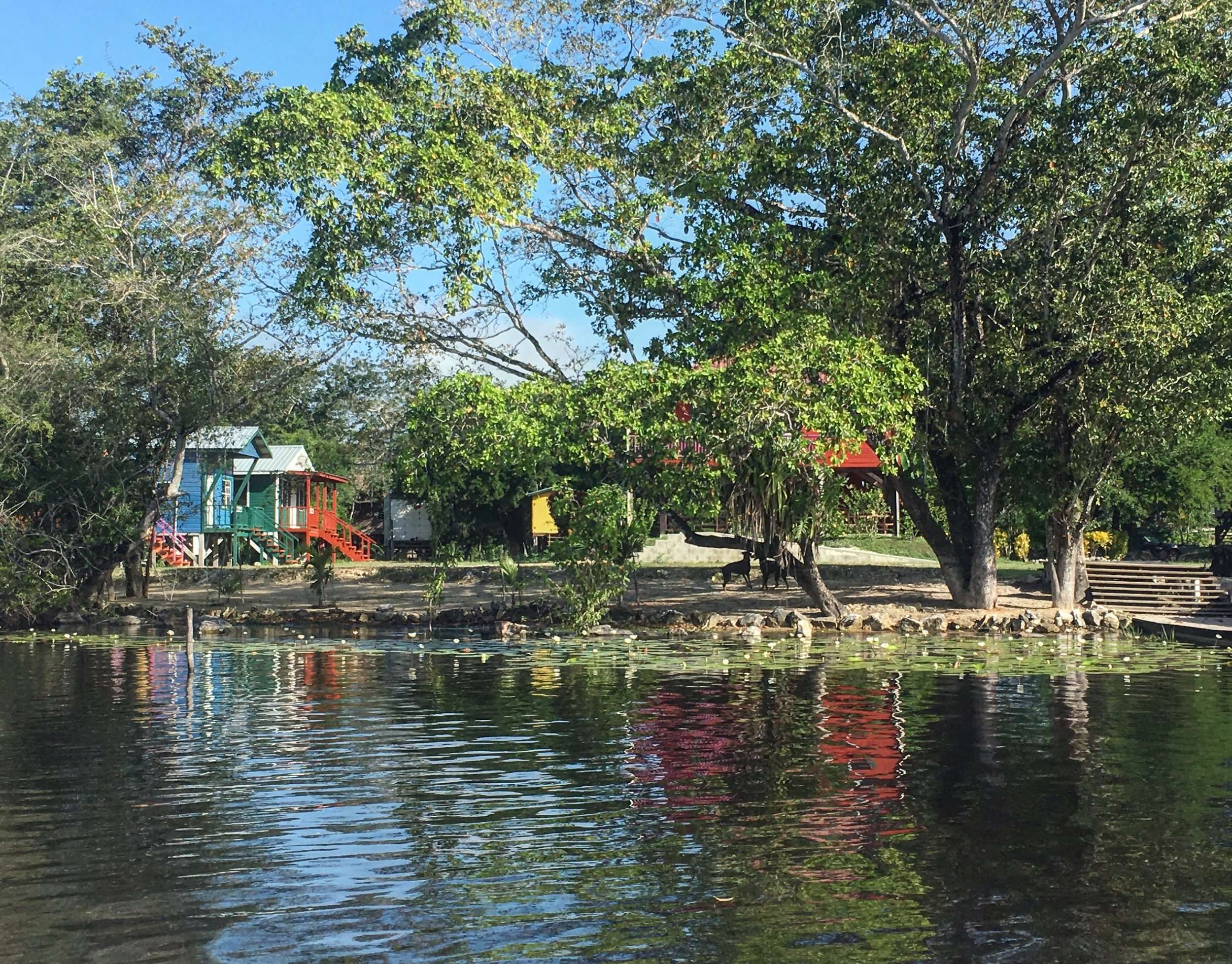 Where computer programmer and anti-virus pioneer, John McAffee lived until he fled Belize after being suspected of ordering the murder of his neighbor.