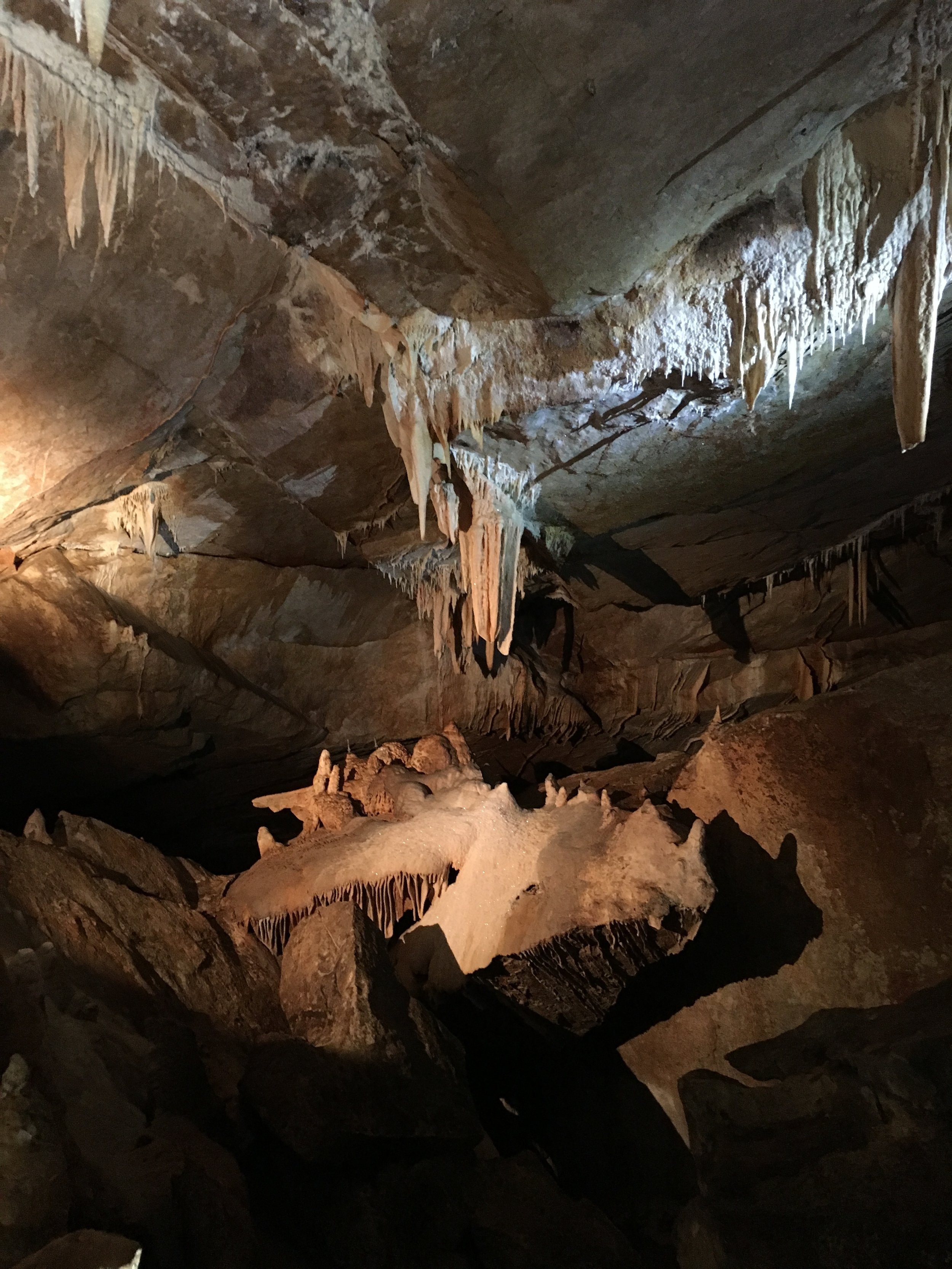 Jenolan Caves, Jenolan Karst Conservation Reserve