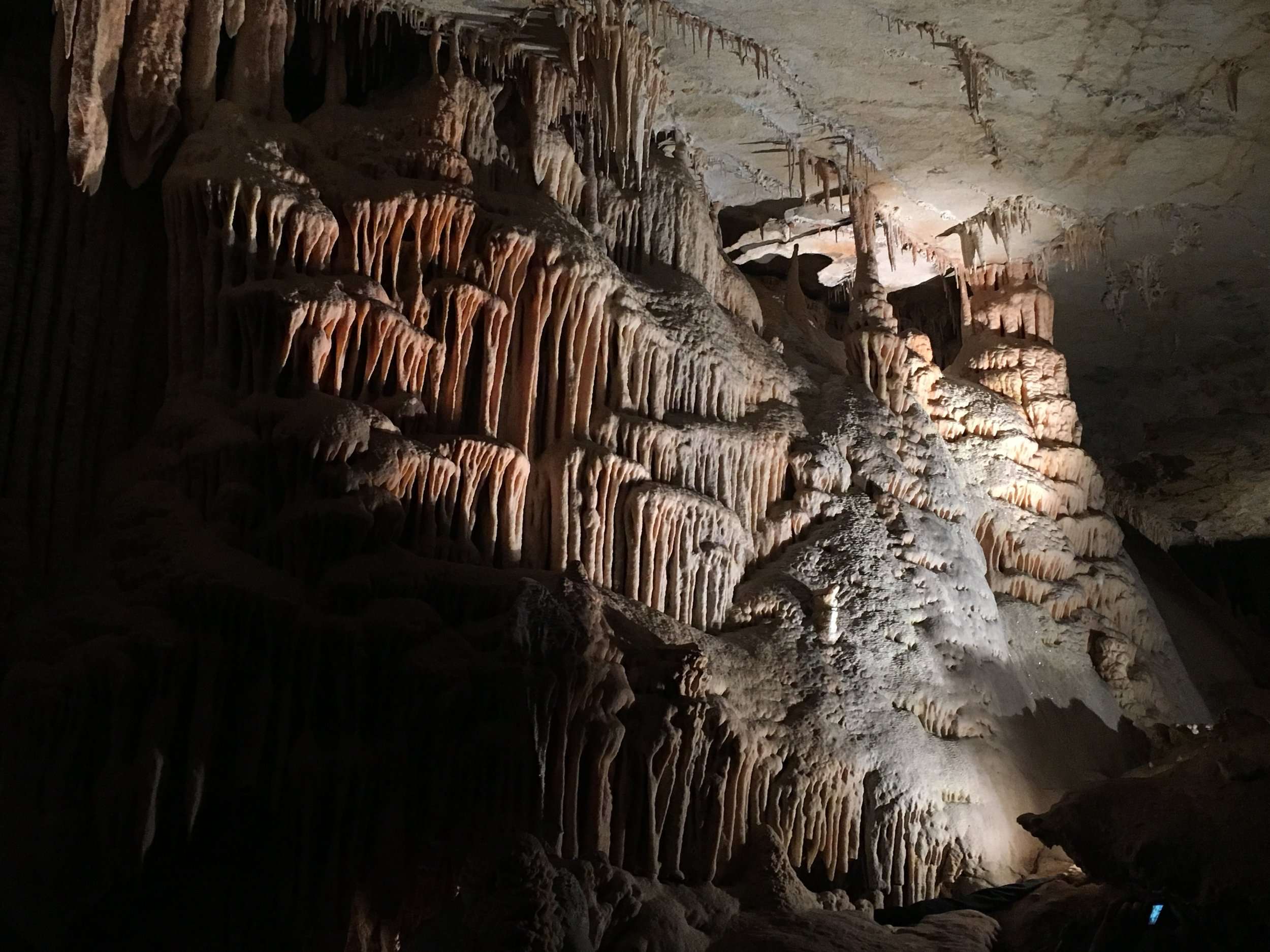 More of our Blue Mountains caving adventure