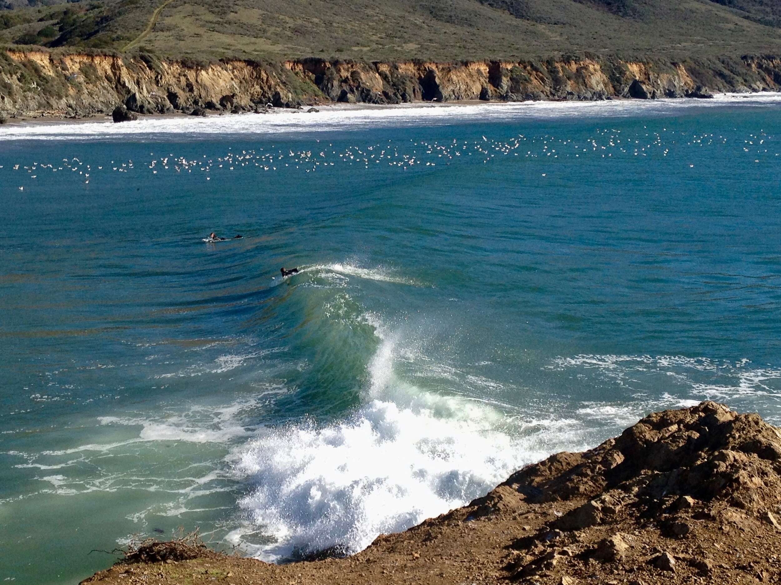 Surfers Viewed From the Hiking Trail at Andrew Molera State Park, Big Sur, CA