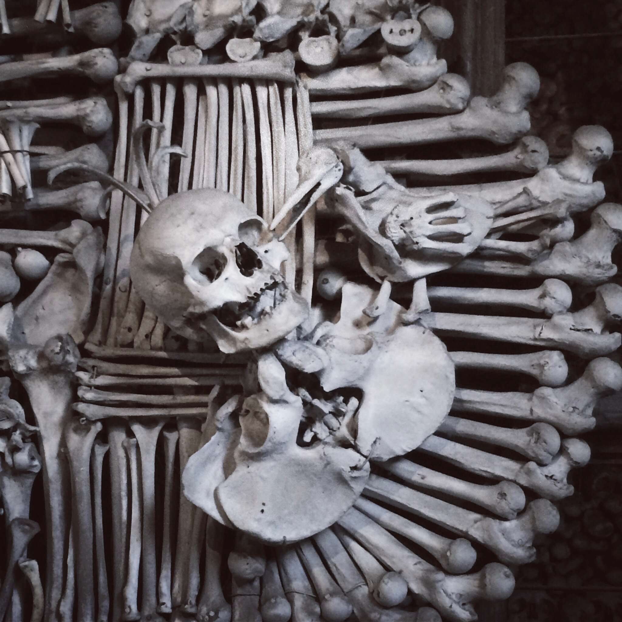 Detail on Schwarzenberg Crest in Sedlac, Kutna Hora