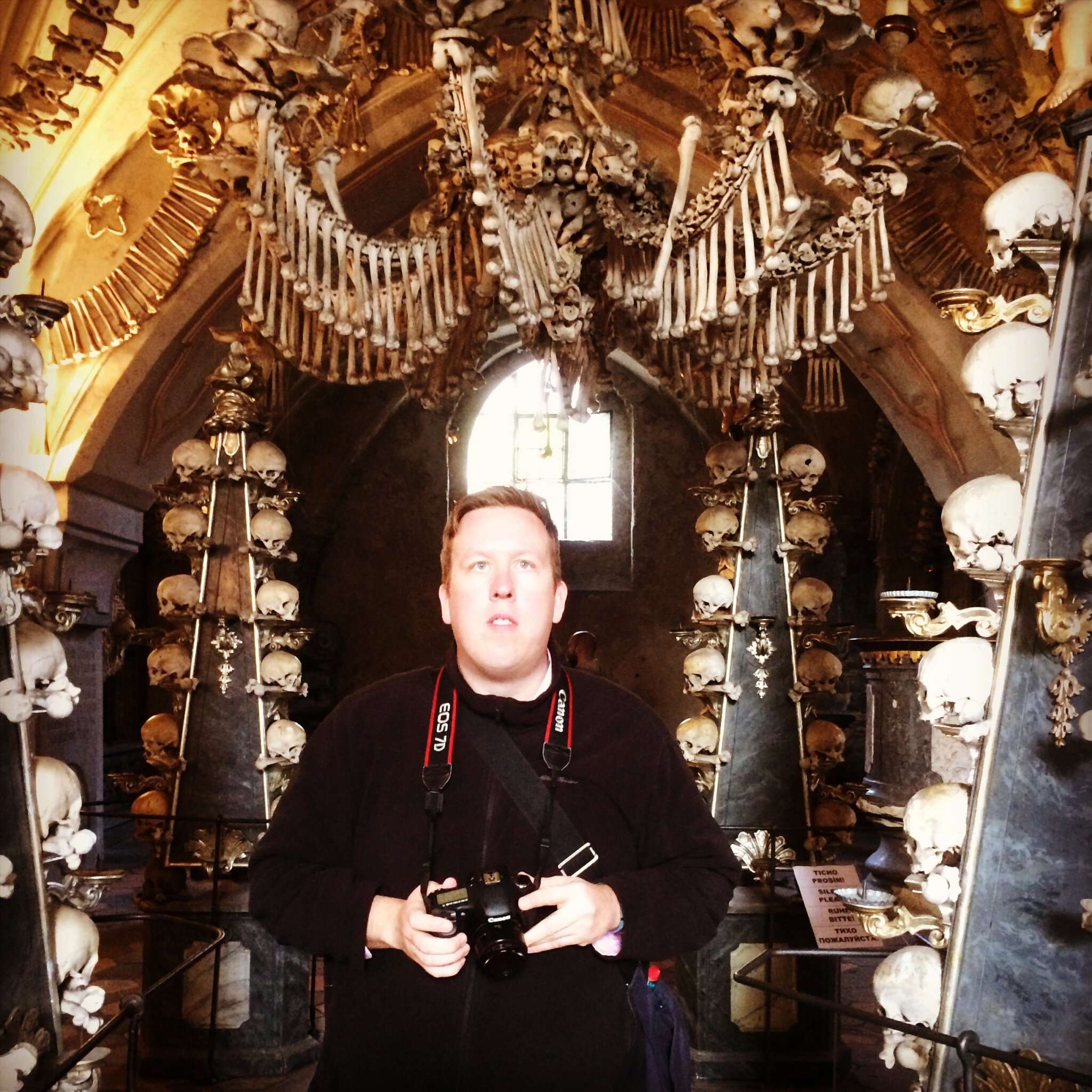 My Fiancé Under the Bone Church Chandelier