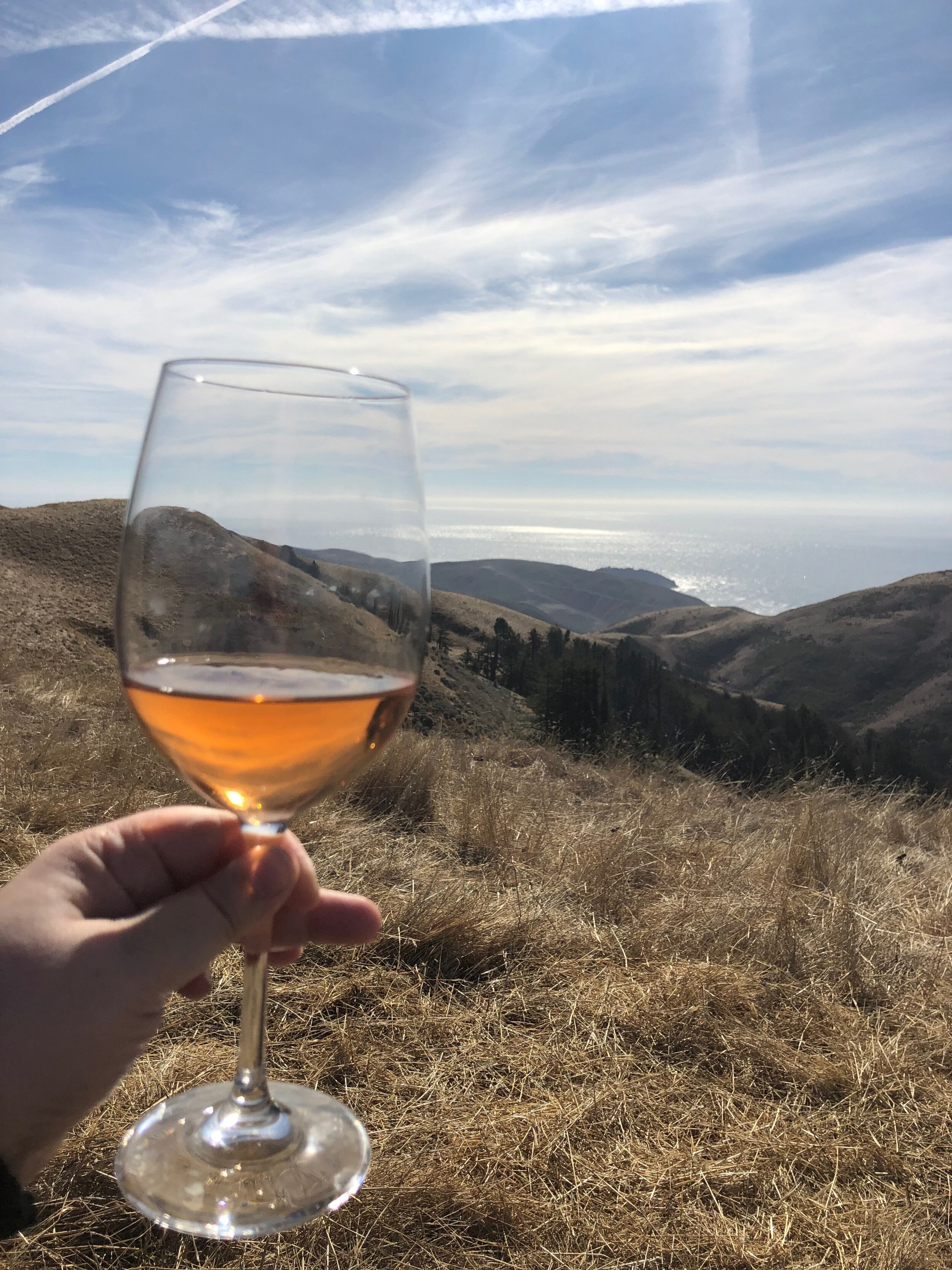 Rose all Day in Big Sur