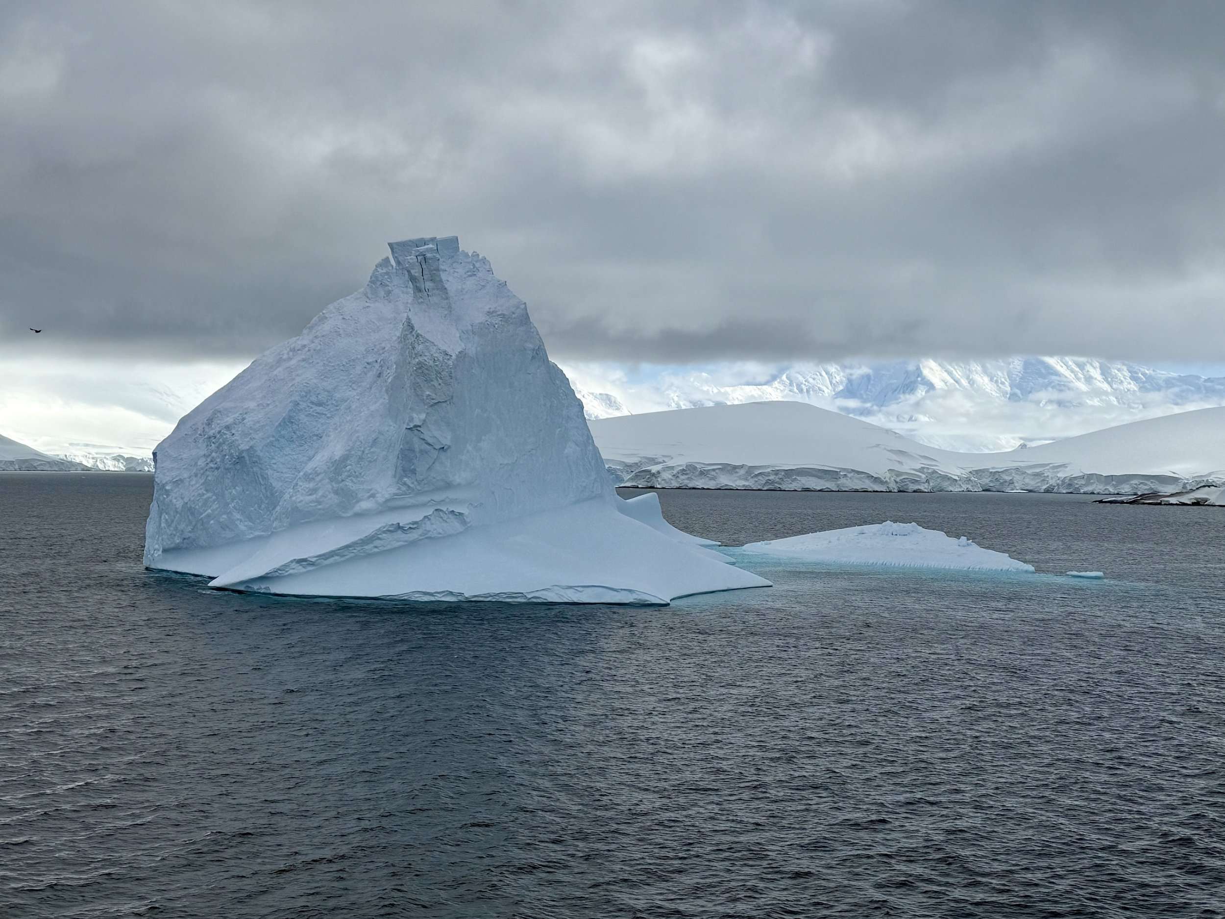 Iceberg off Wiencke Island