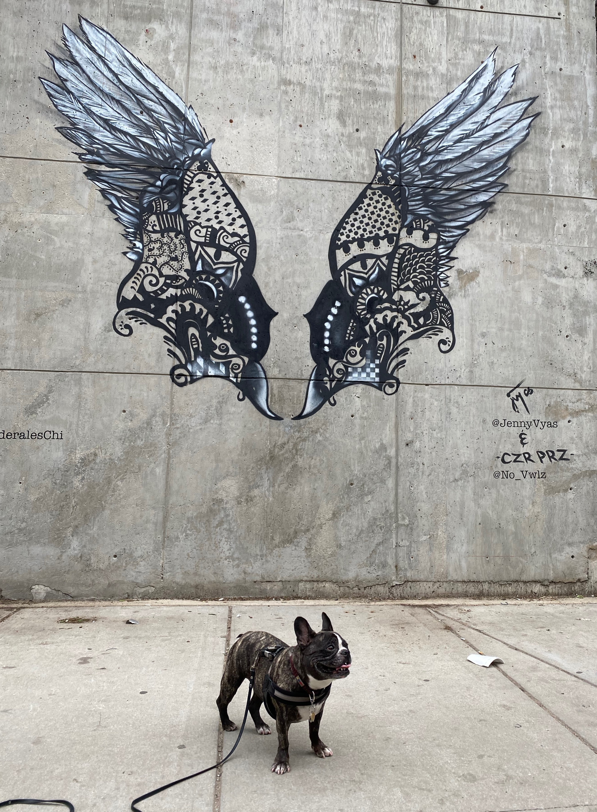 Wings by Artist Jenny Vyas