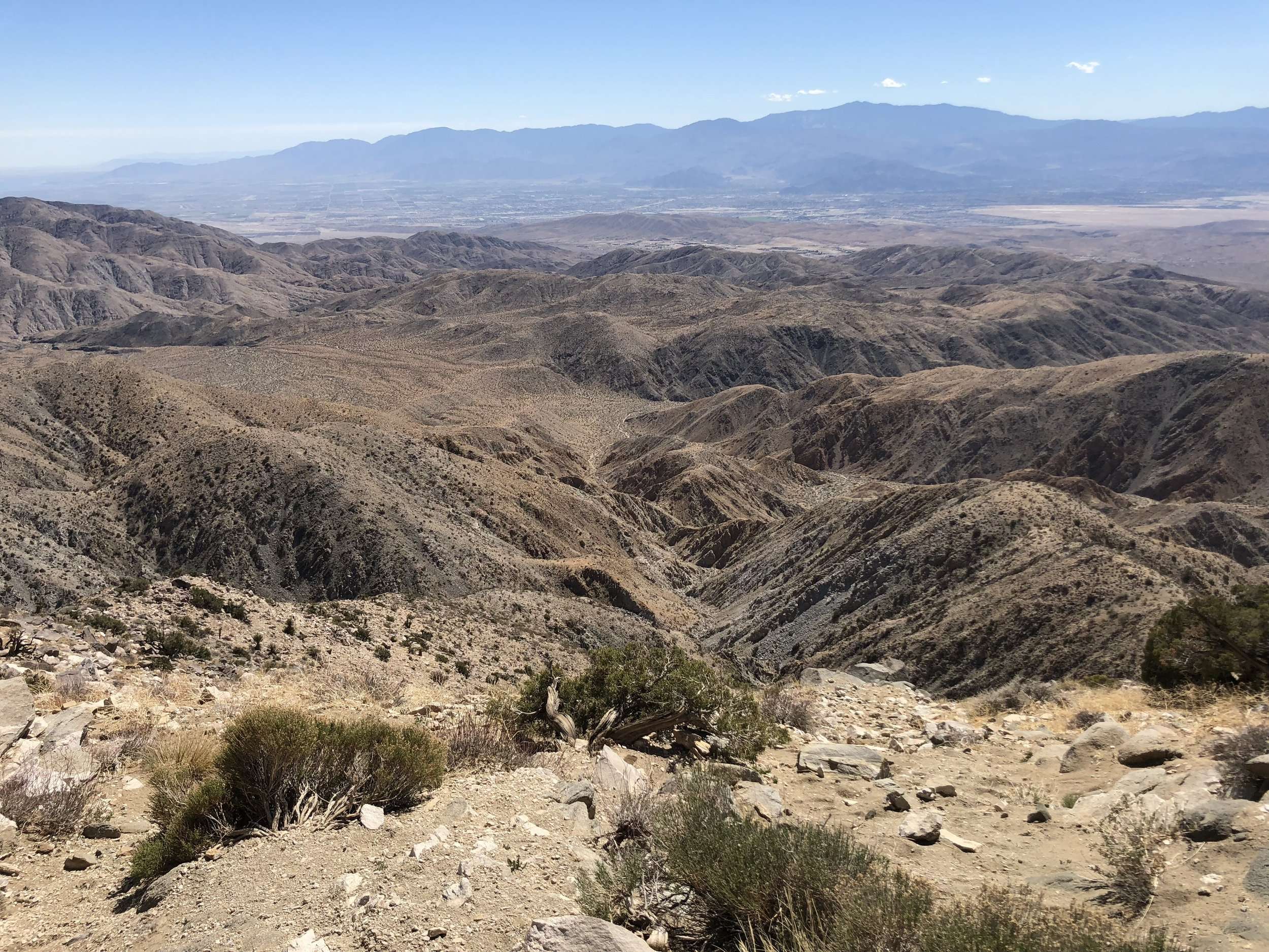 Joshua Tree National Park Top Attractions