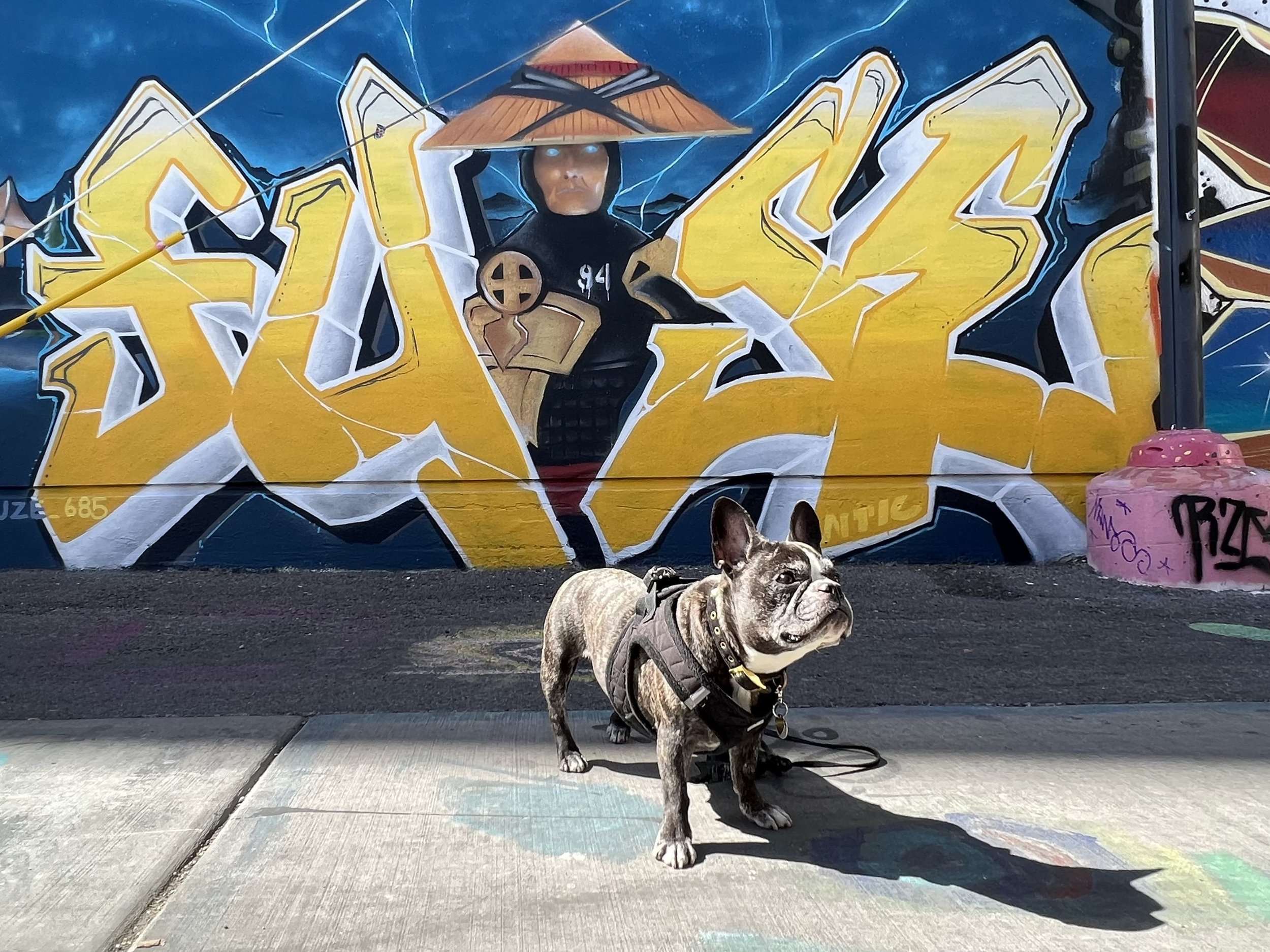 Las Vegas Graffiti