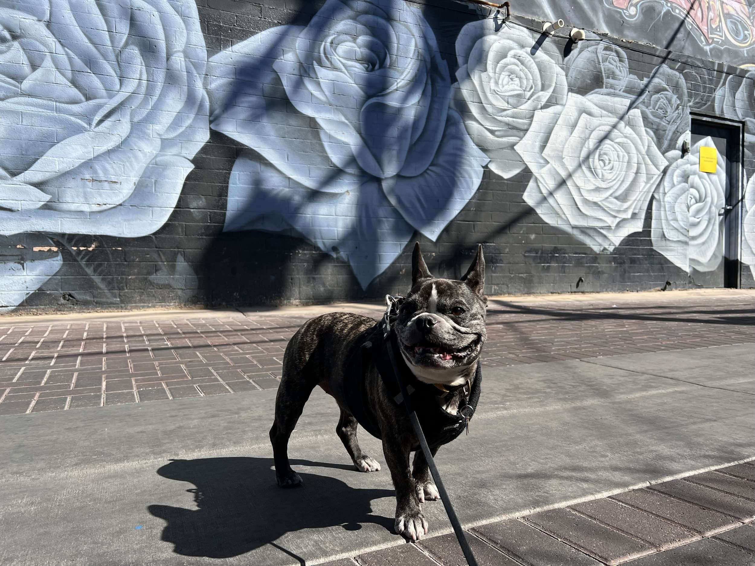 Las Vegas Murals Rosese