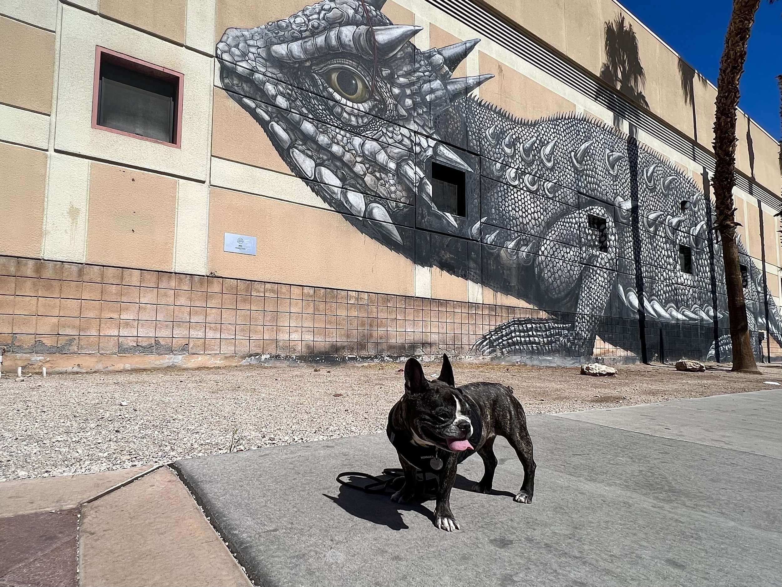 Las Vegas Murals