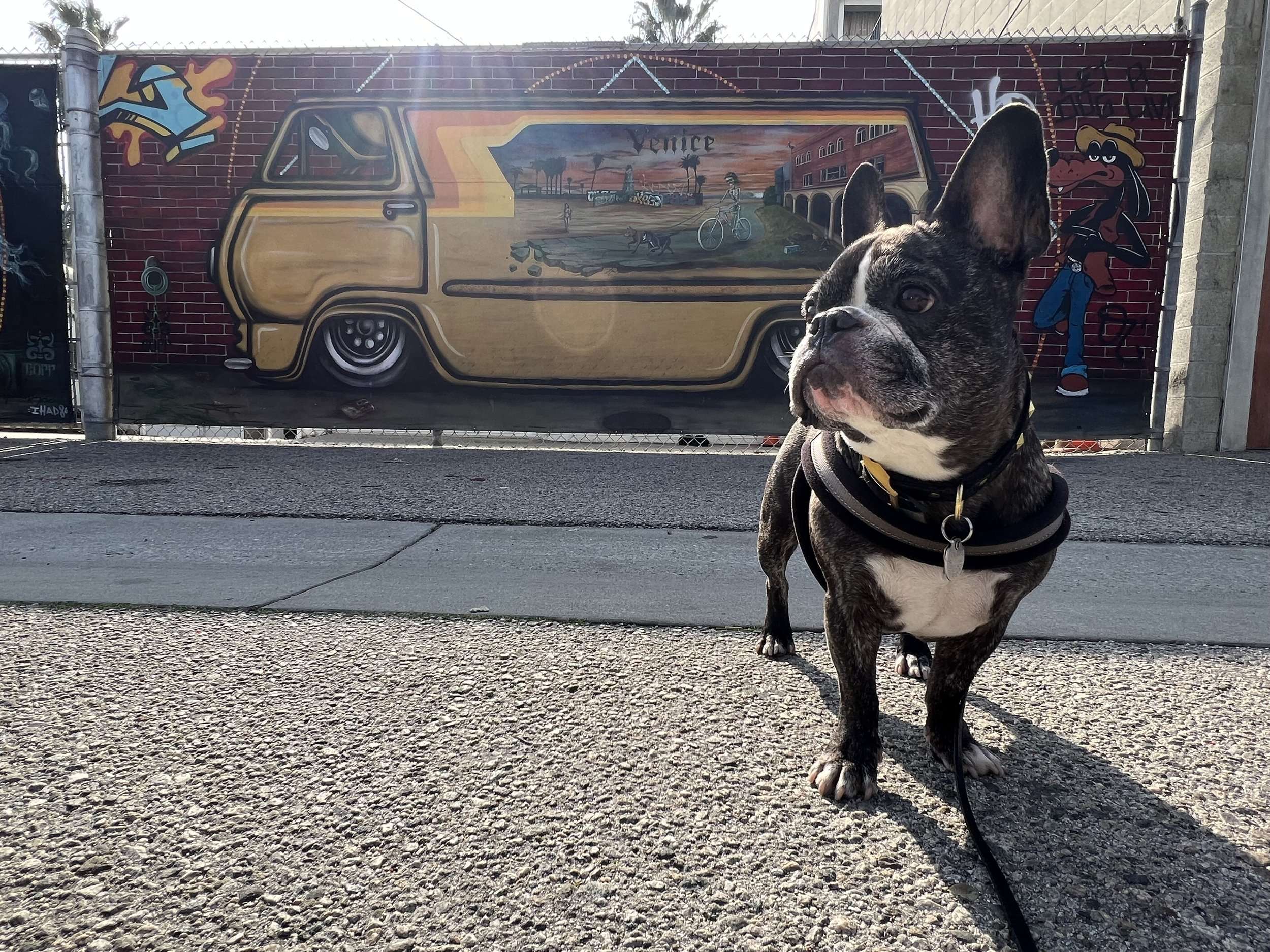 Maddie on Abbot Kinney